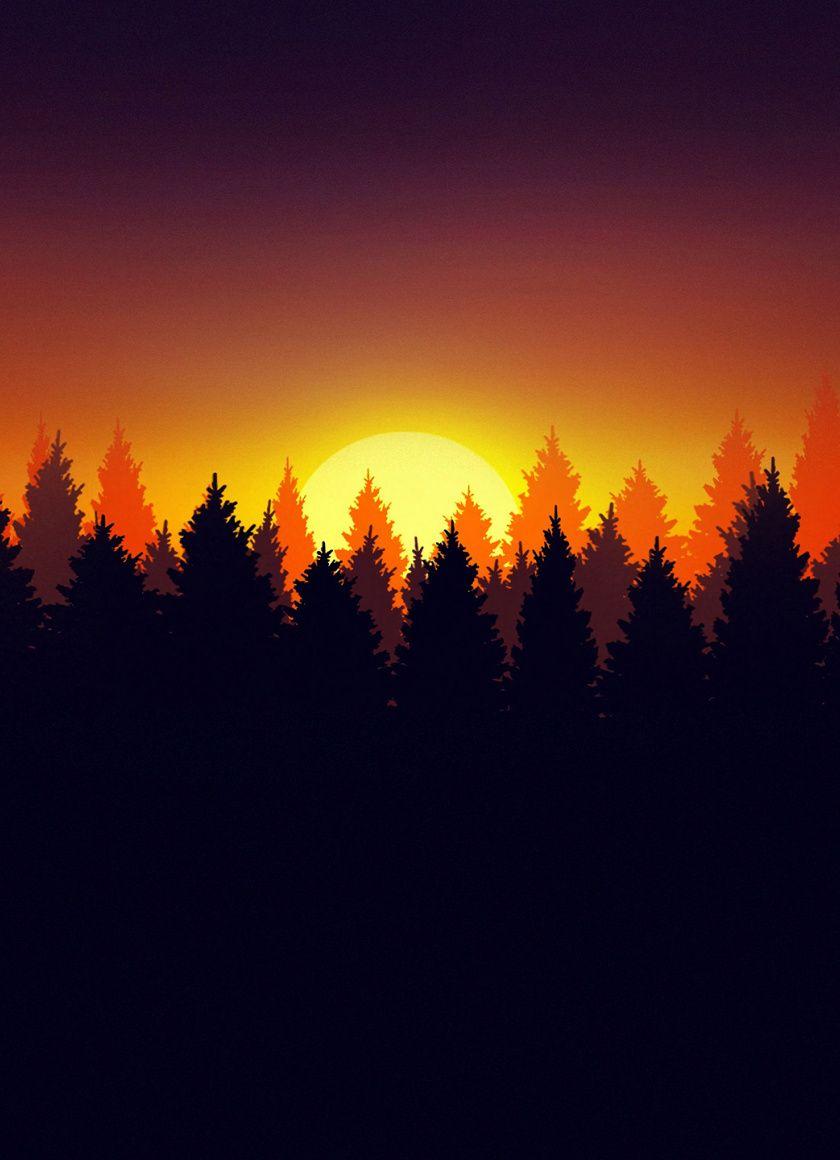 840x1160 Forest, silhouette, early morning, dawn wallpaper