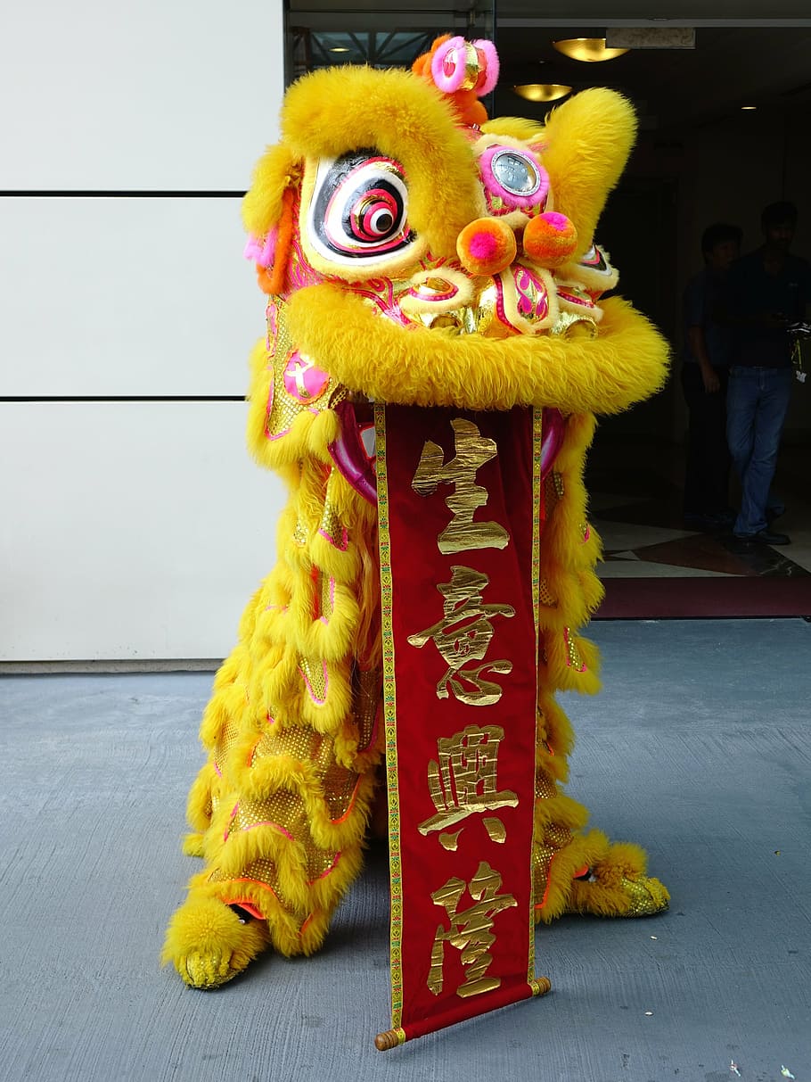 910x1213 chinese dragon, ground, lion dance, chinese, tradition, new year, luck, dancing