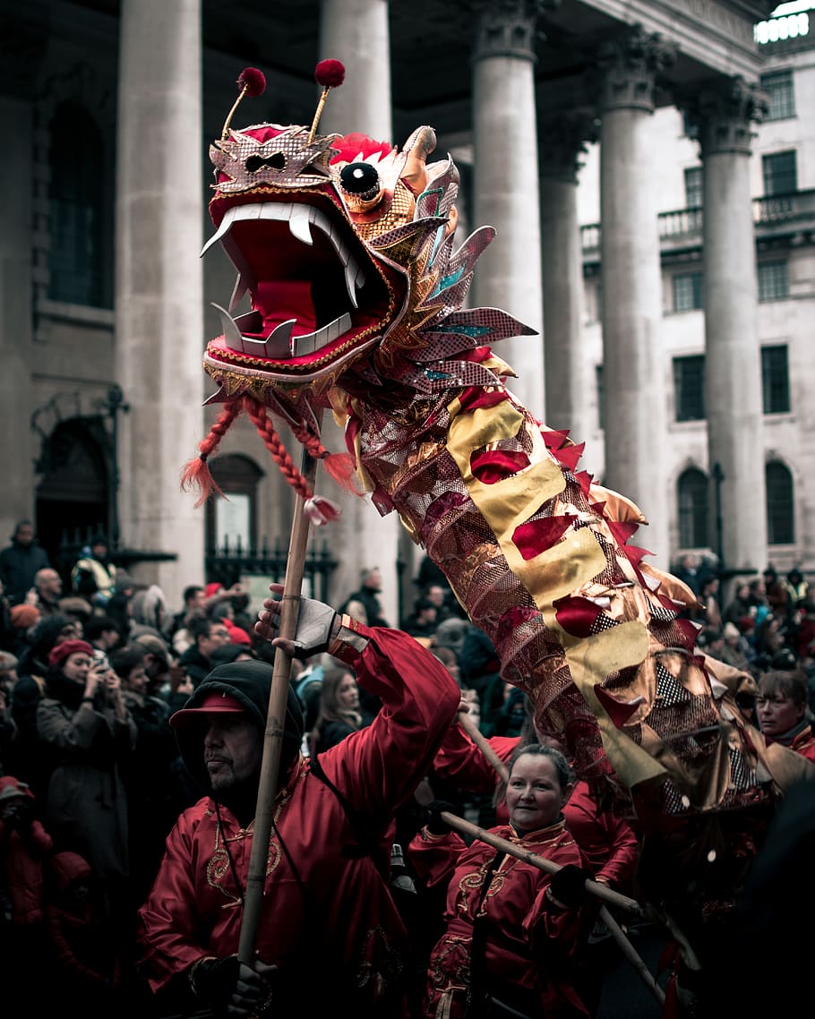 910x1138 Chinese dragon costume 1080P, 2K, 4K, 5K HD wallpaper free download