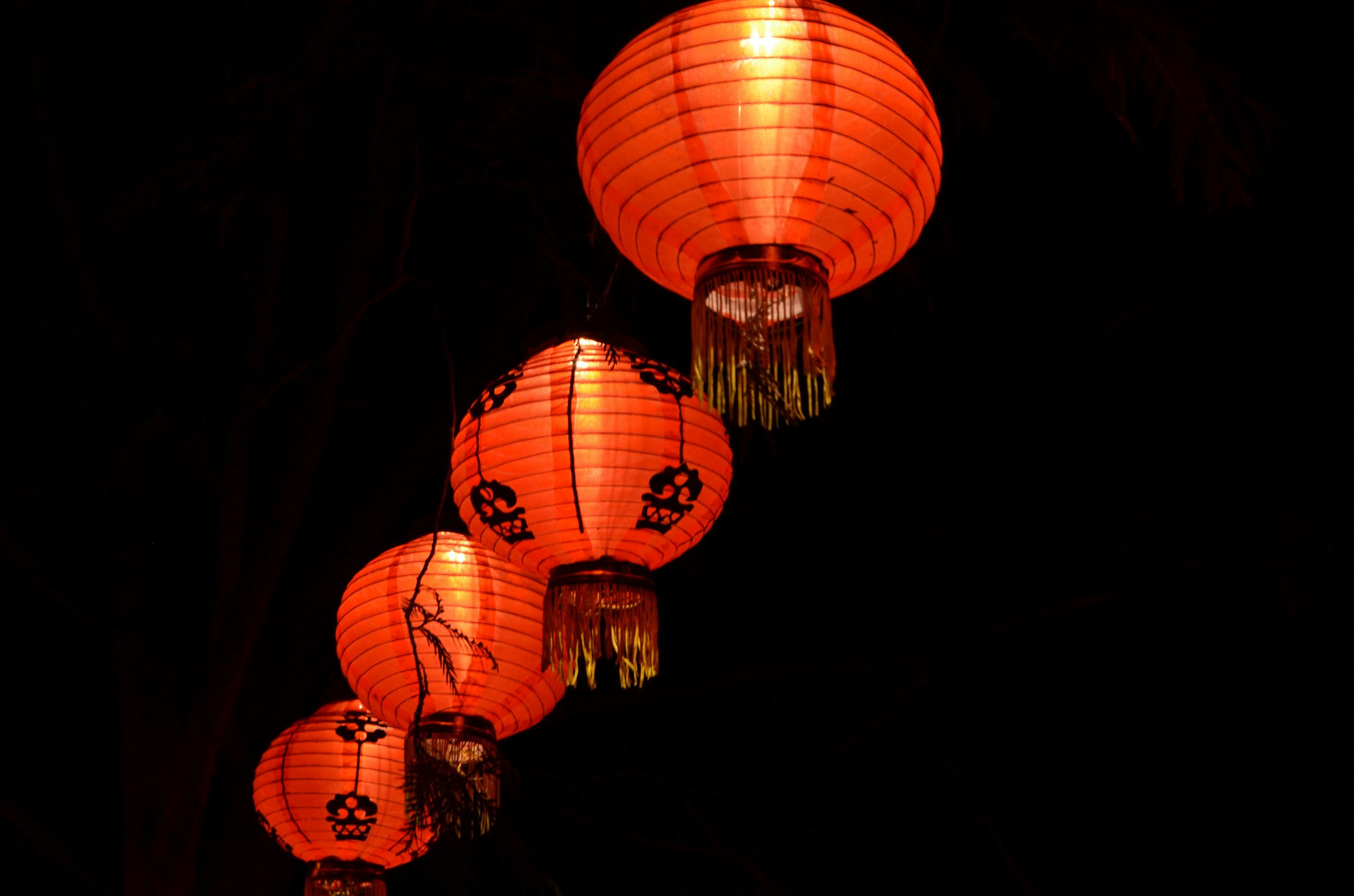 3000x1987 Red paper lanterns with black background photo
