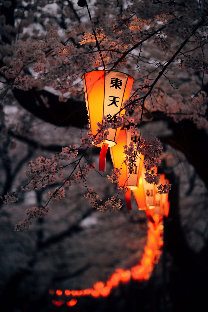 800x1200 Chinese Lanterns supreme, tornado, HD phone wallpaper