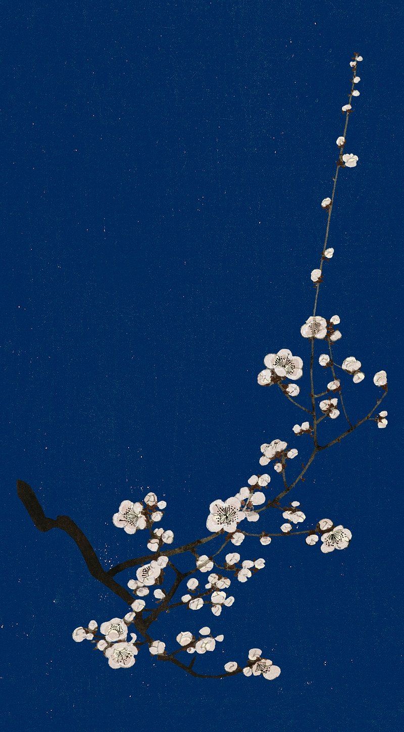 800x1449 Plum Blossom Image Wallpaper