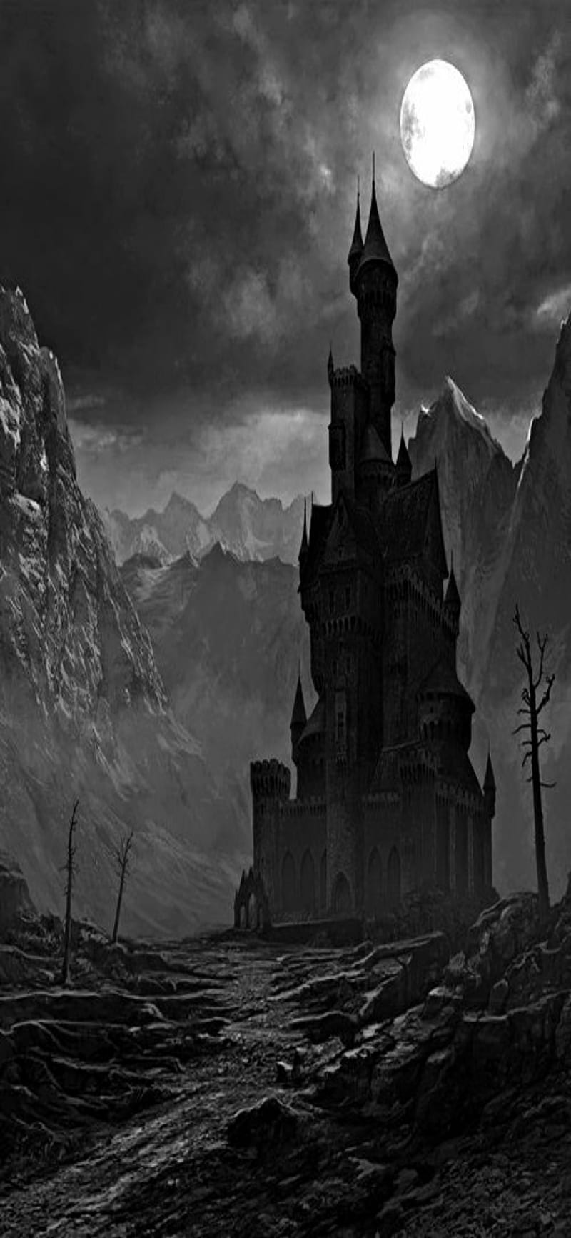 800x1733 Dark castle, art, castle, dark, HD phone wallpaper