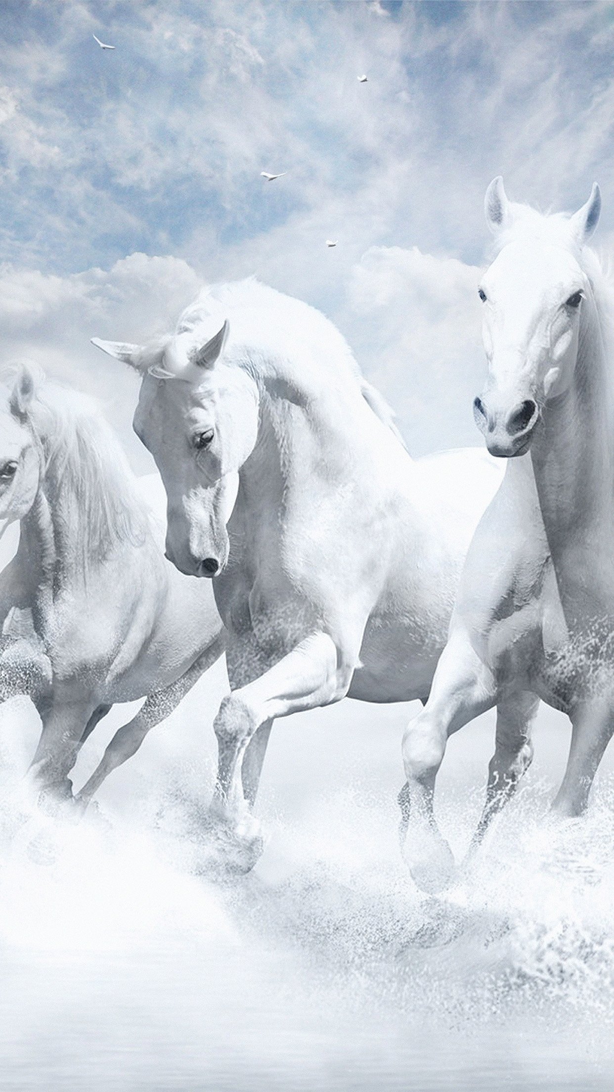 1242x2208 iPhone X wallpaper. white horses water sky illustration art
