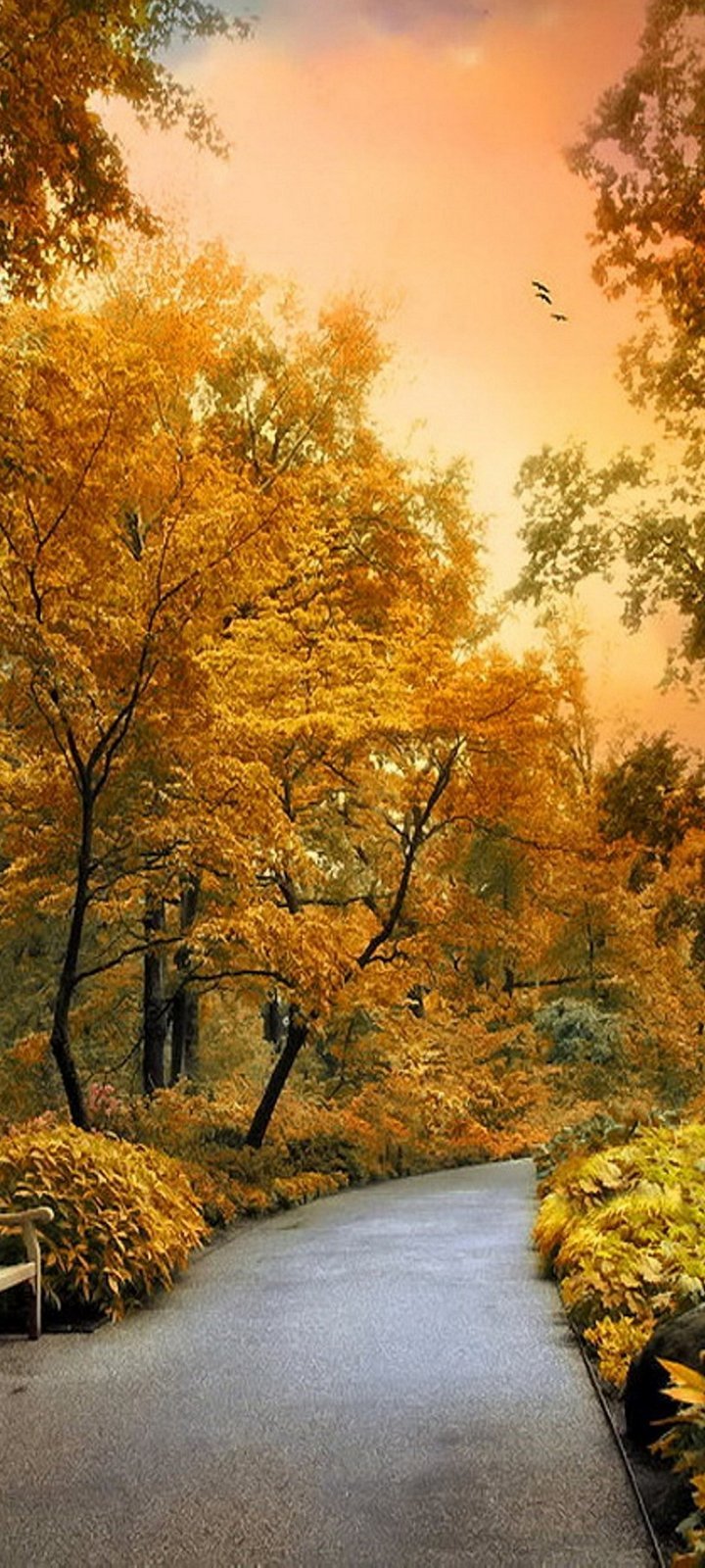 720x1600 Wallpaper HD for Phone