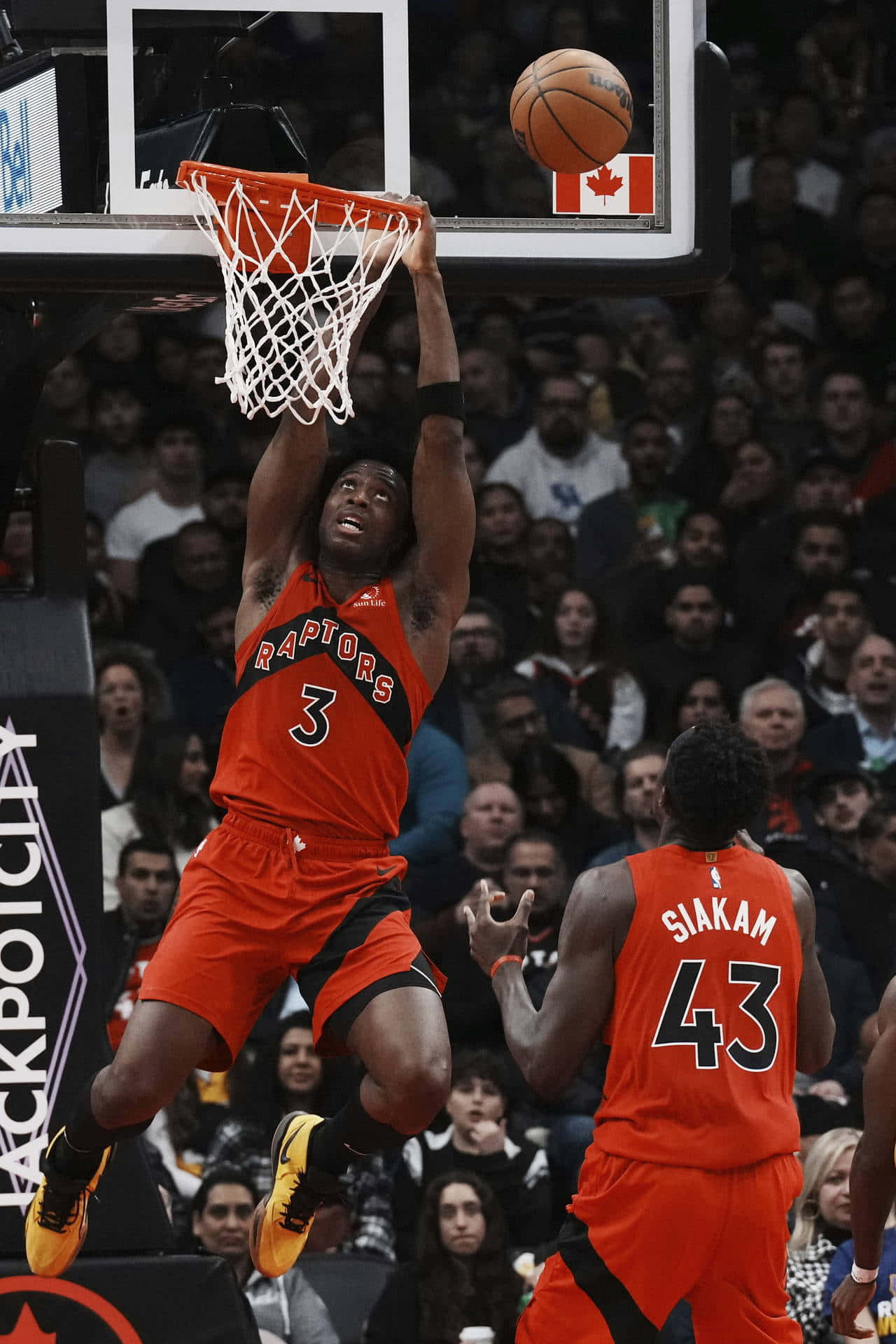 1280x1920 Download Raptors OG Anunoby Slamdunk Wallpaper