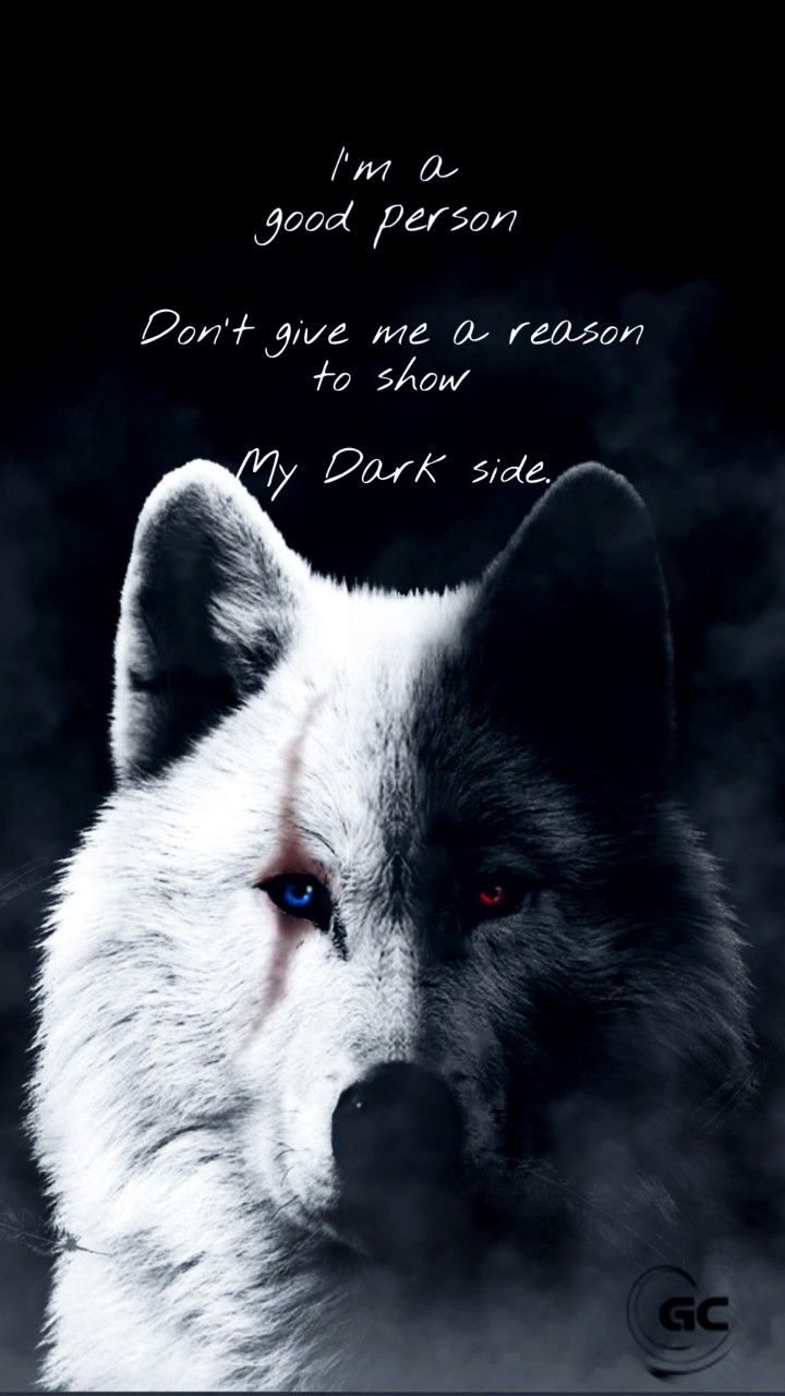 720x1280 Wolf Quote