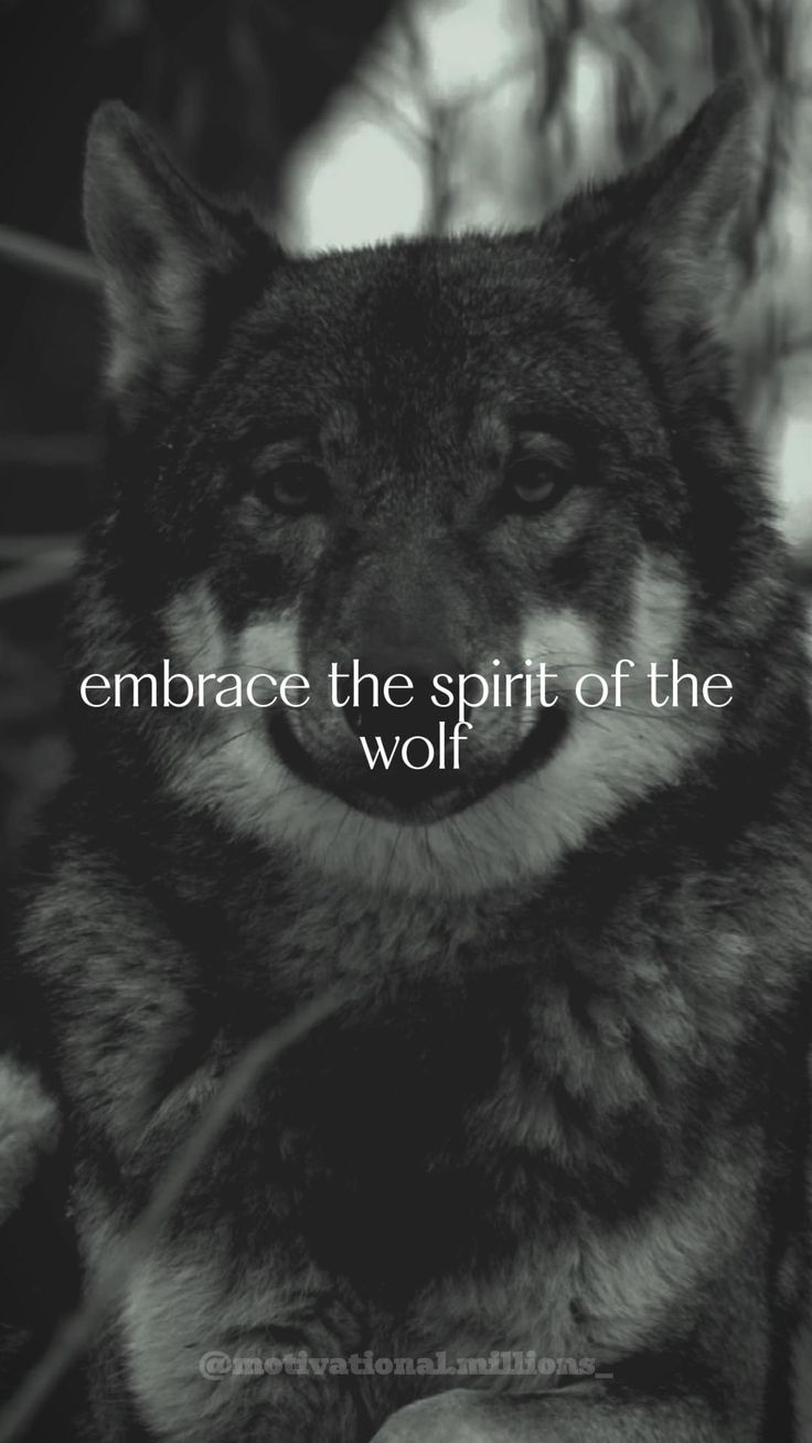 736x1308 Empowering Wolf Quotes