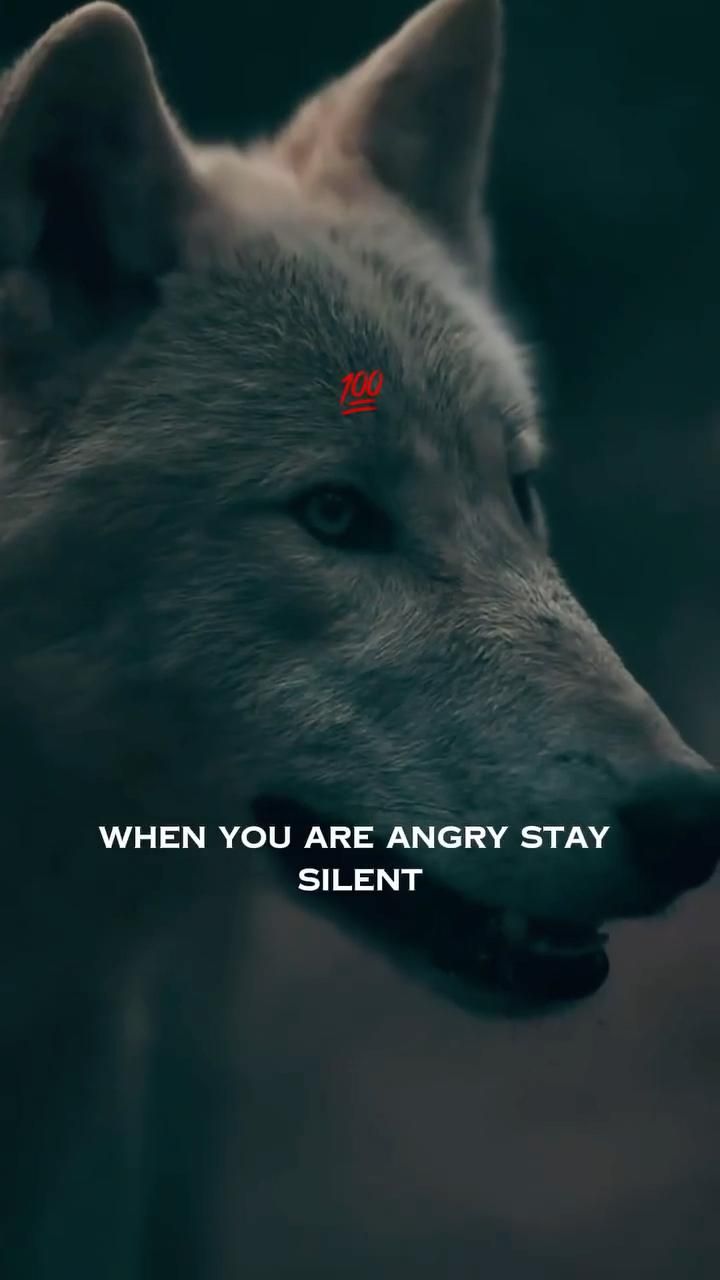 720x1280 Morning Quote