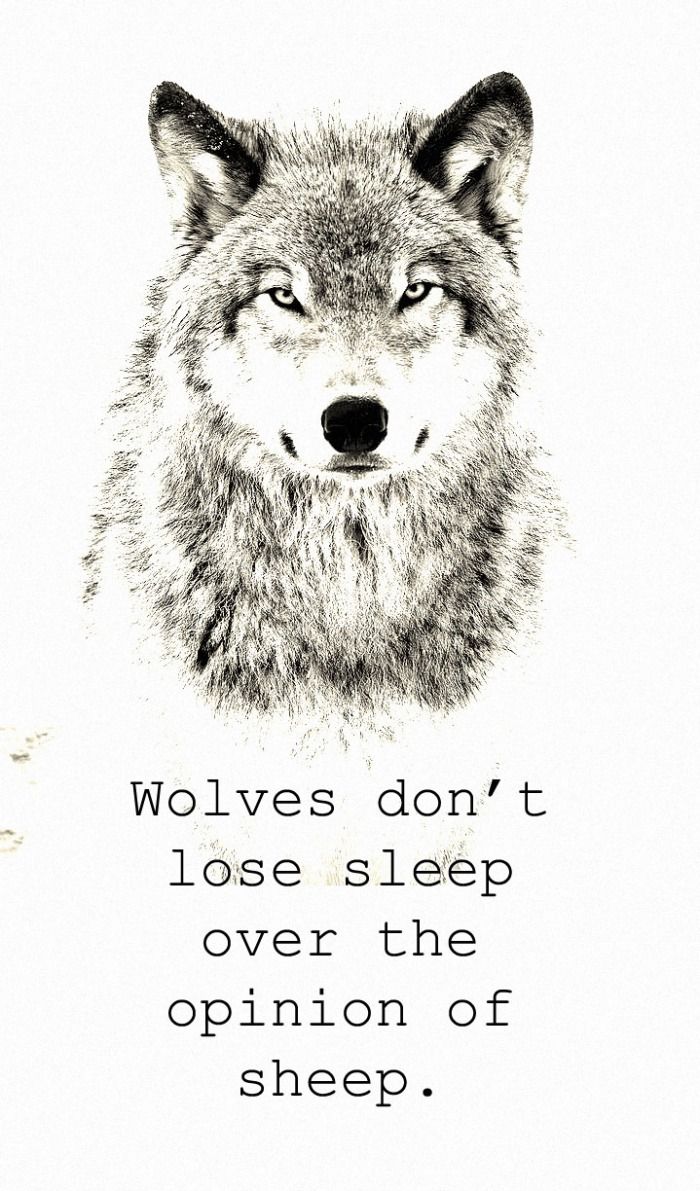 700x1191 To tell you something about wolves