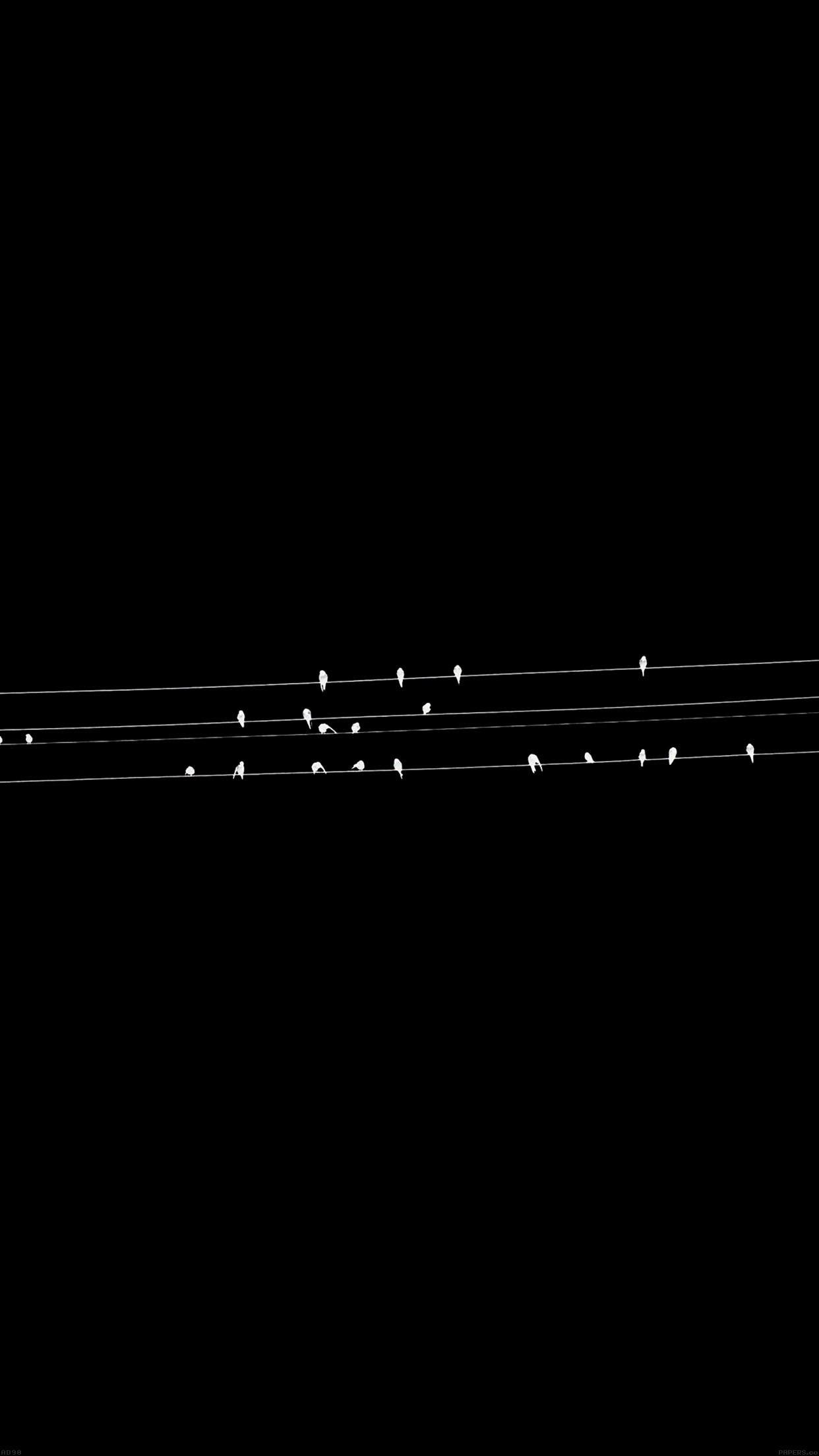 1242x2208 Birds nature minimal dark Download Free Wallpaper for iPhone 7