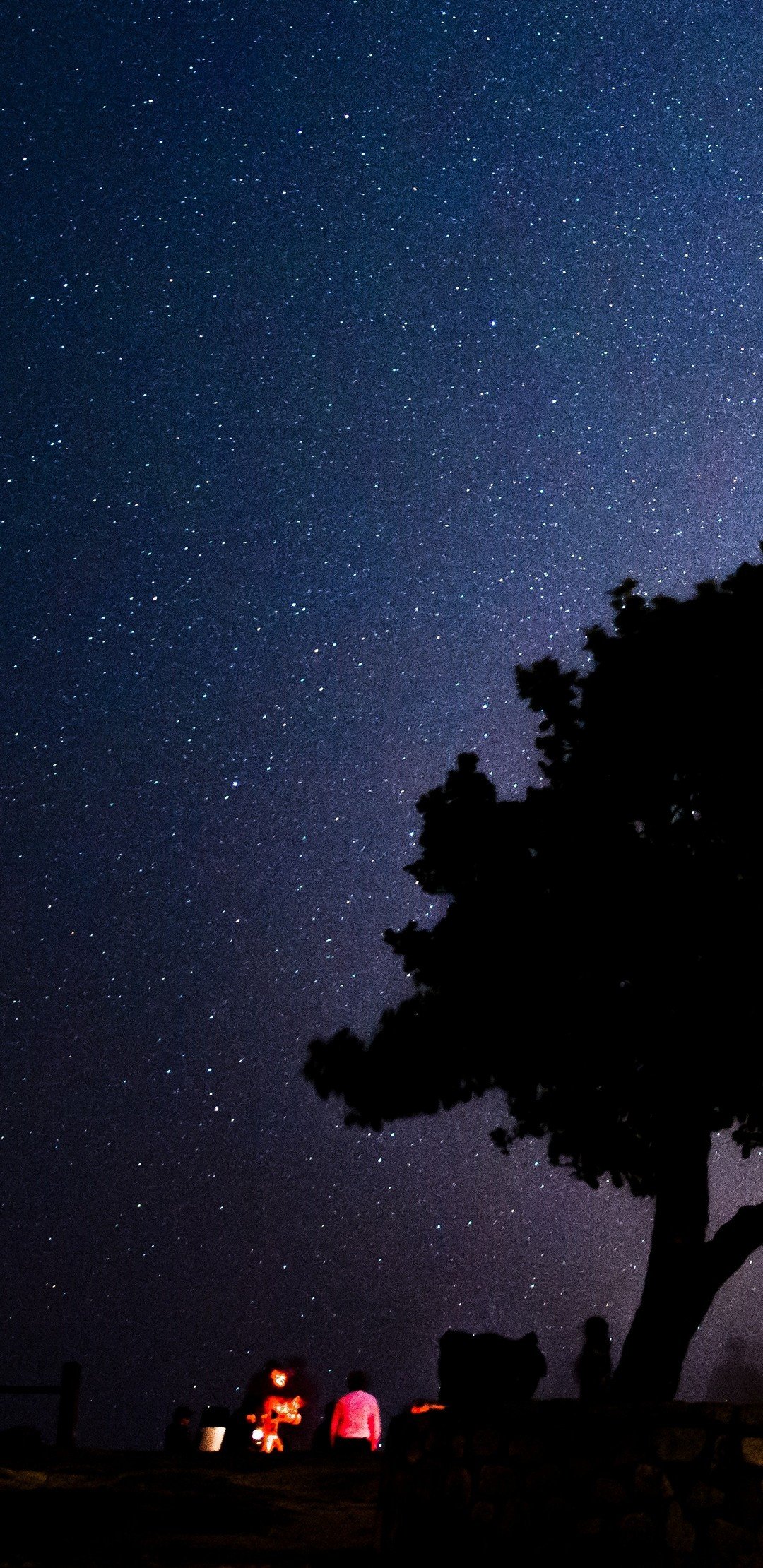 1080x2220 Wallpaper