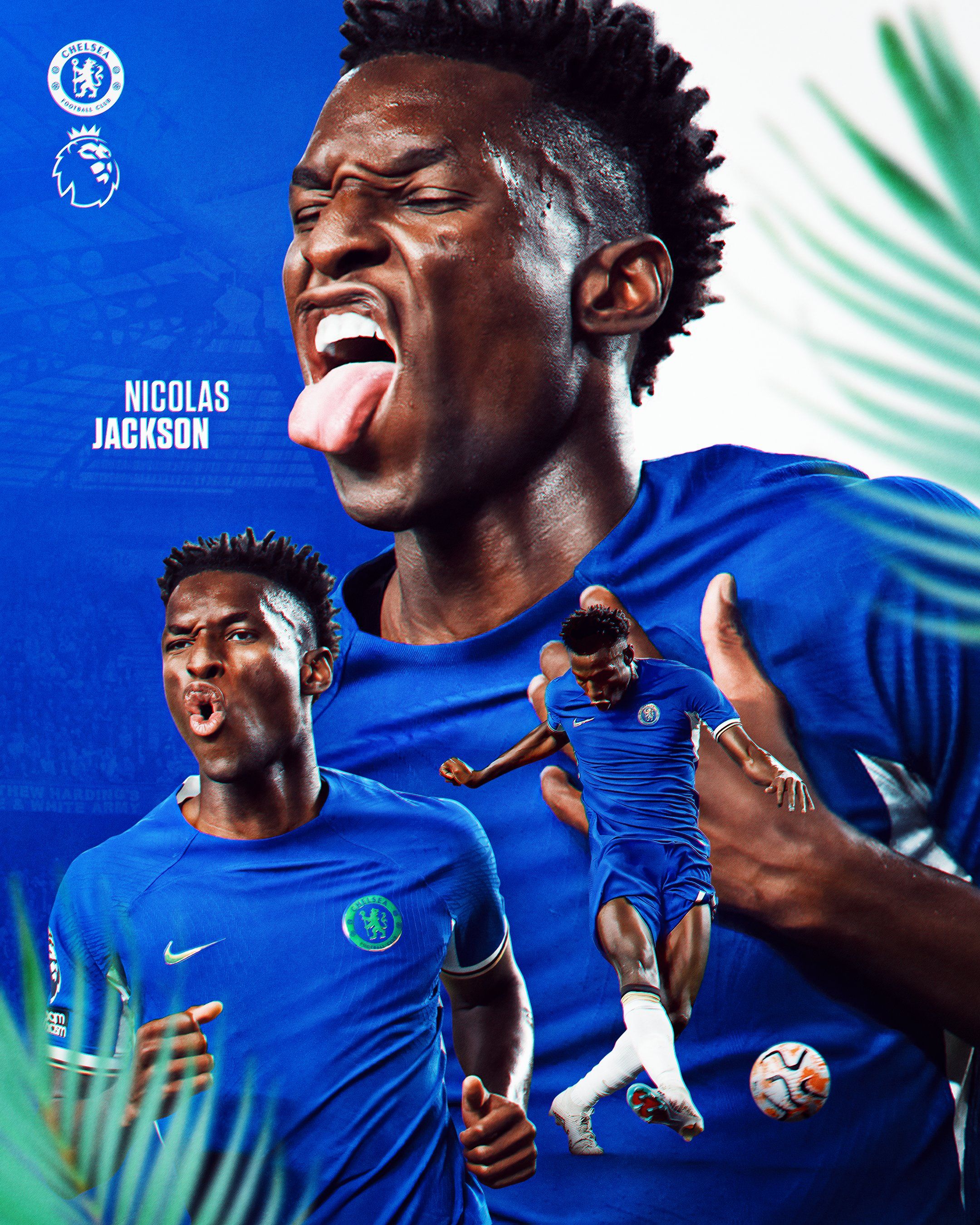 2160x2700 Nicolas Jackson Wallpaper
