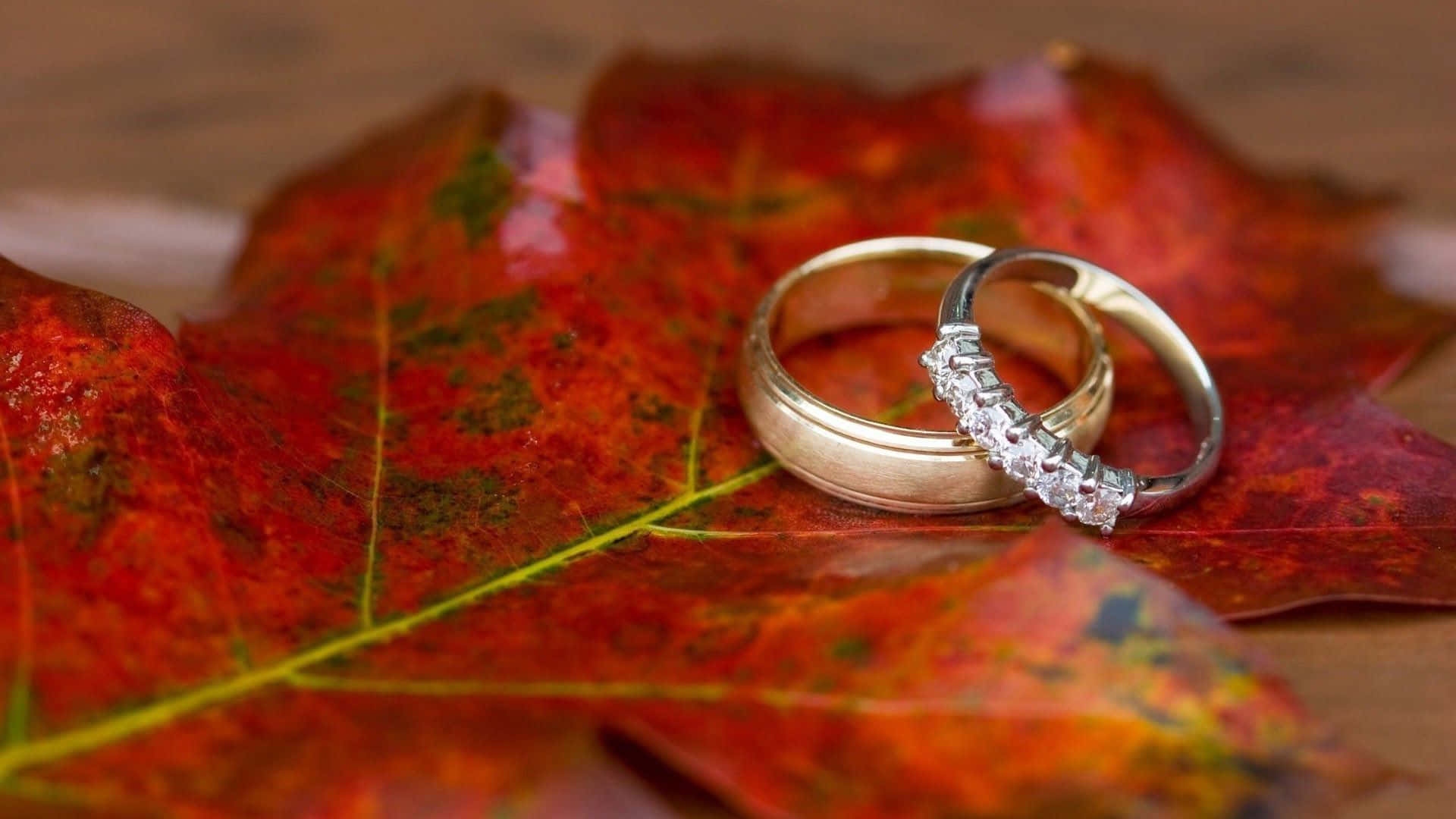 1920x1080 Engagement Ring Picture