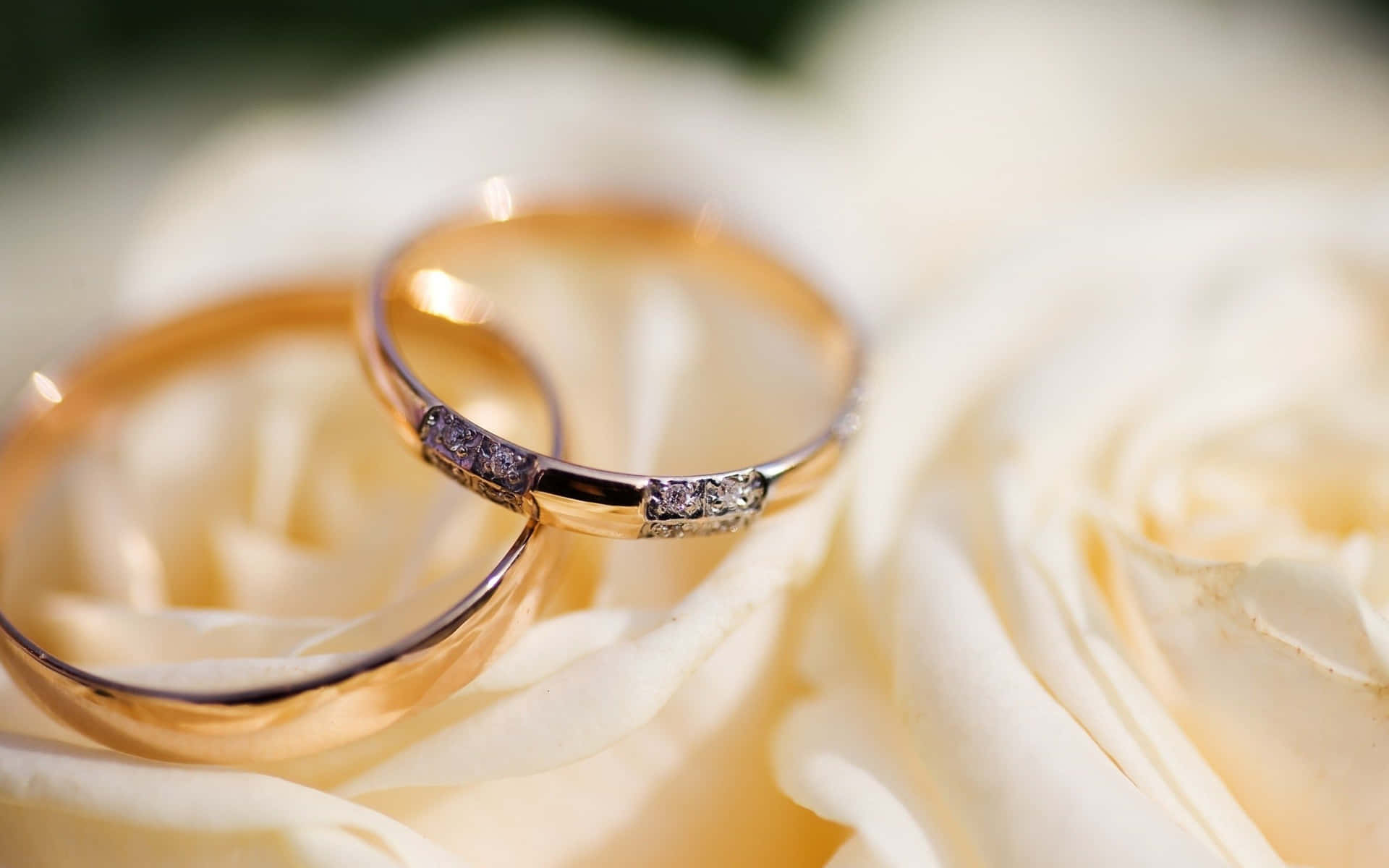 1920x1200 Download True Love Symbol of Commitment
