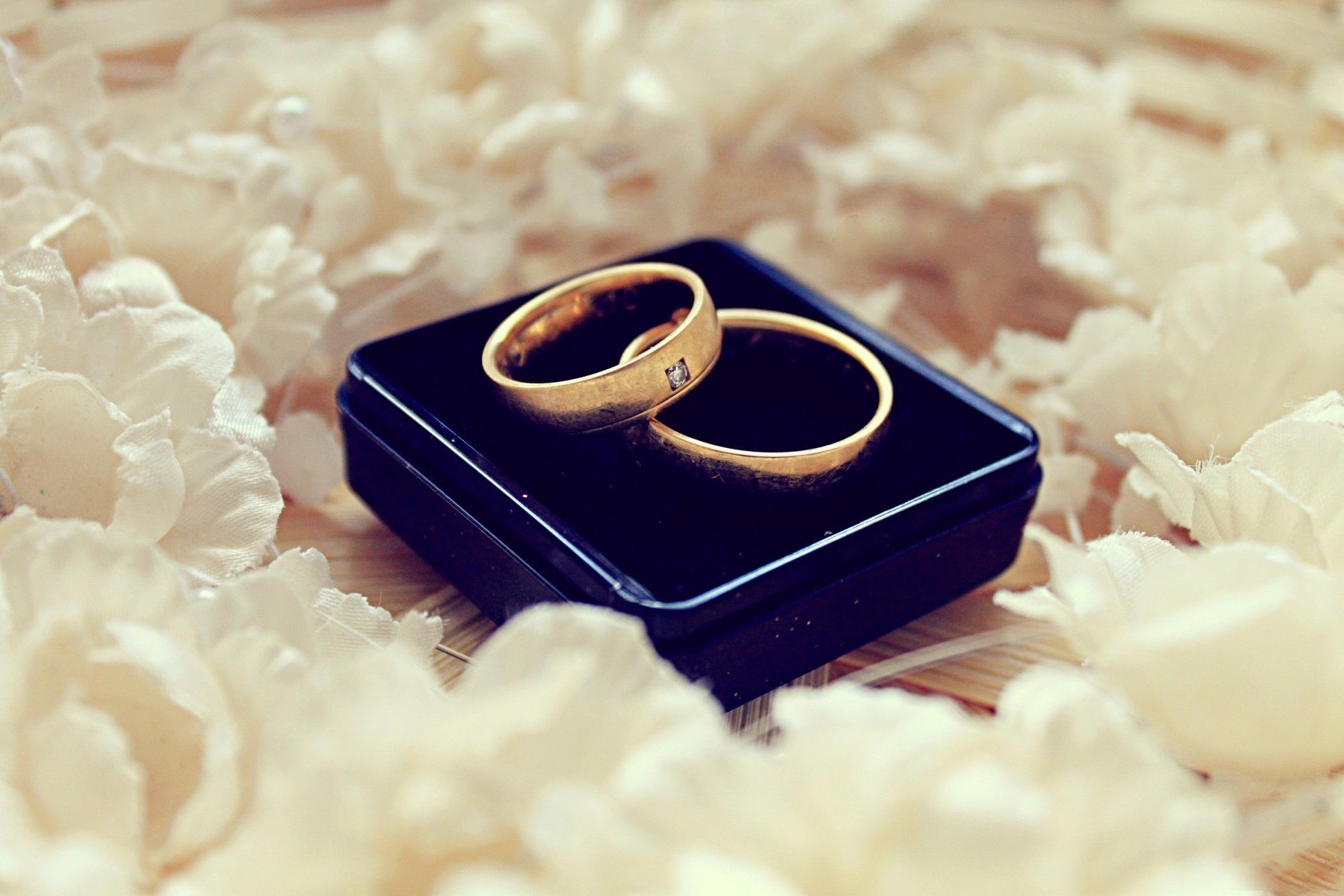 2100x1400 Women Wedding Rings Wallpaper