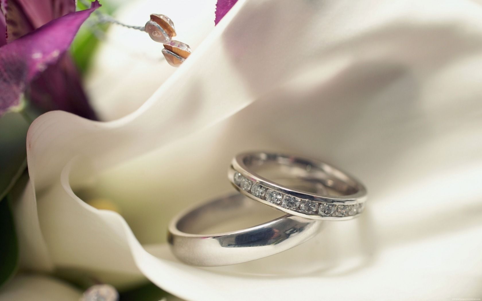 1680x1050 Wedding Rings High Quality Wallpaper