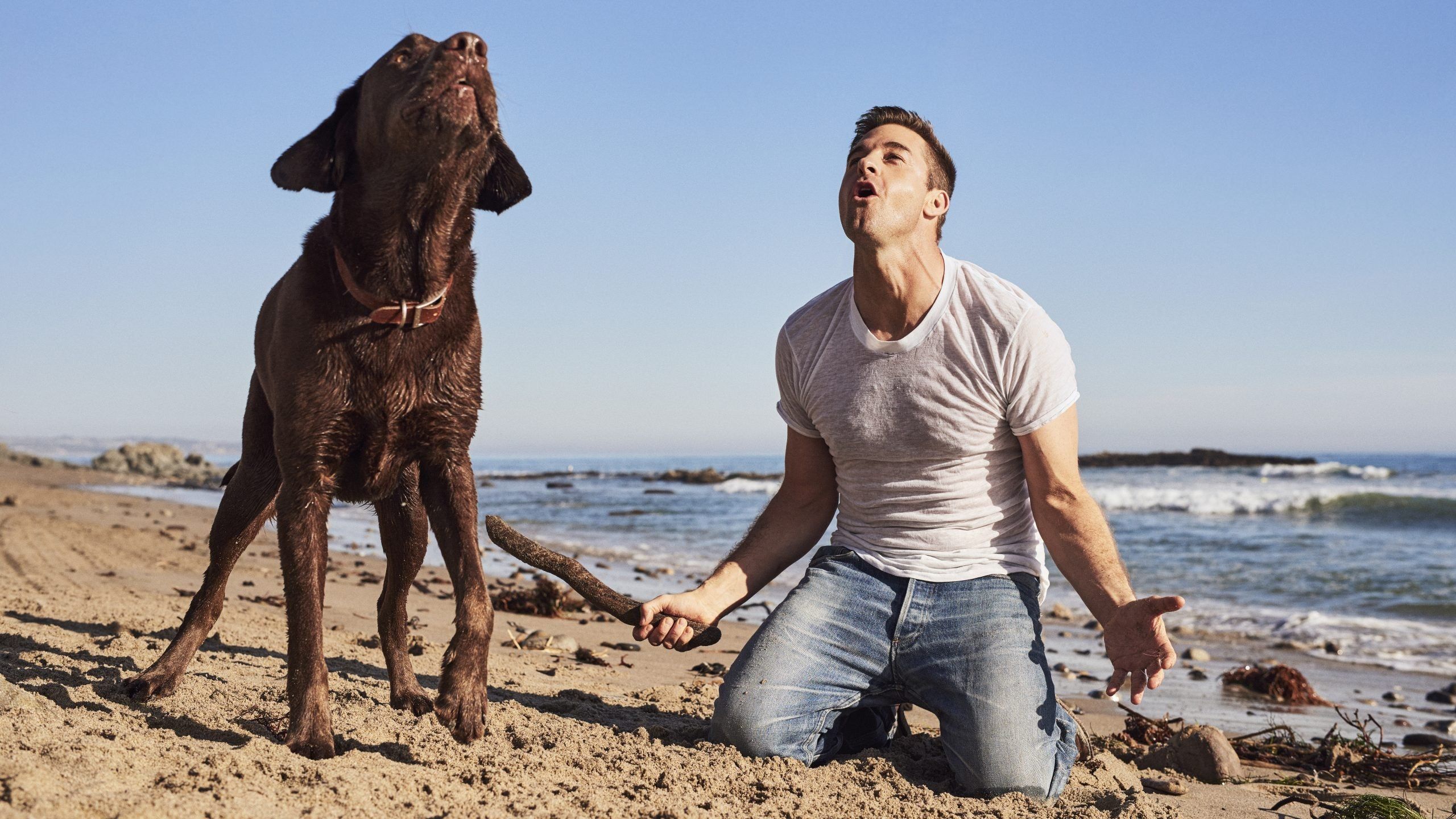 2560x1440 How Animal Kingdom Star Scott Speedman Blows Off Steam