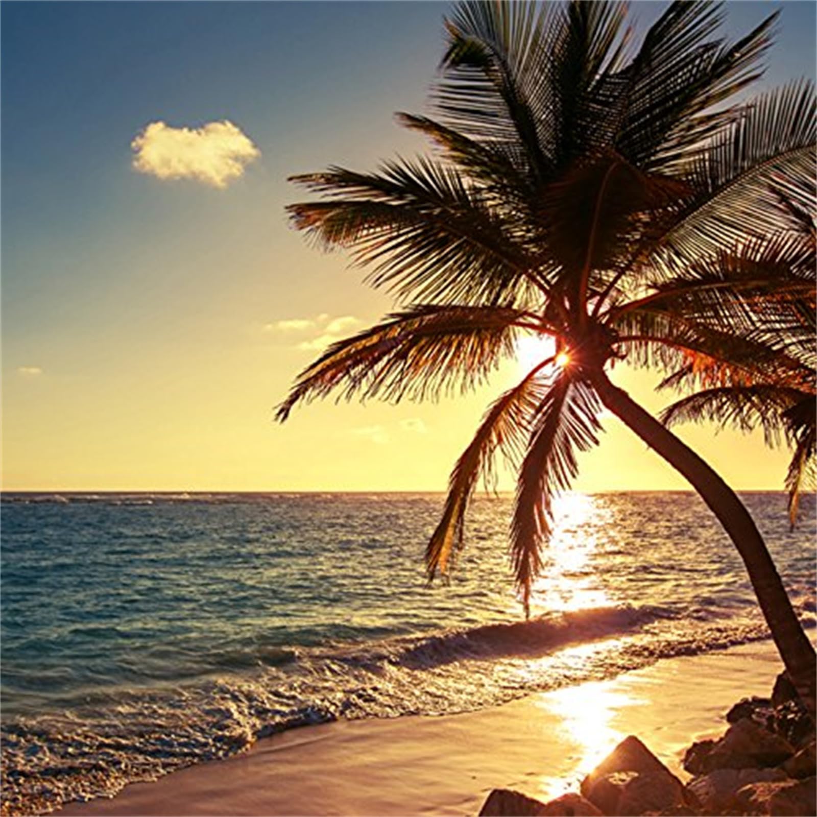 1600x1600 Sunrise Sunset Beach 3D Photo Mural Wallpaper, Coconut Tree On Beach Wall Art Large Mural Wallpaper Render Illustration, Suitable for Living Room and Bedroom, 108W x 75H : Tools & Home Improvement