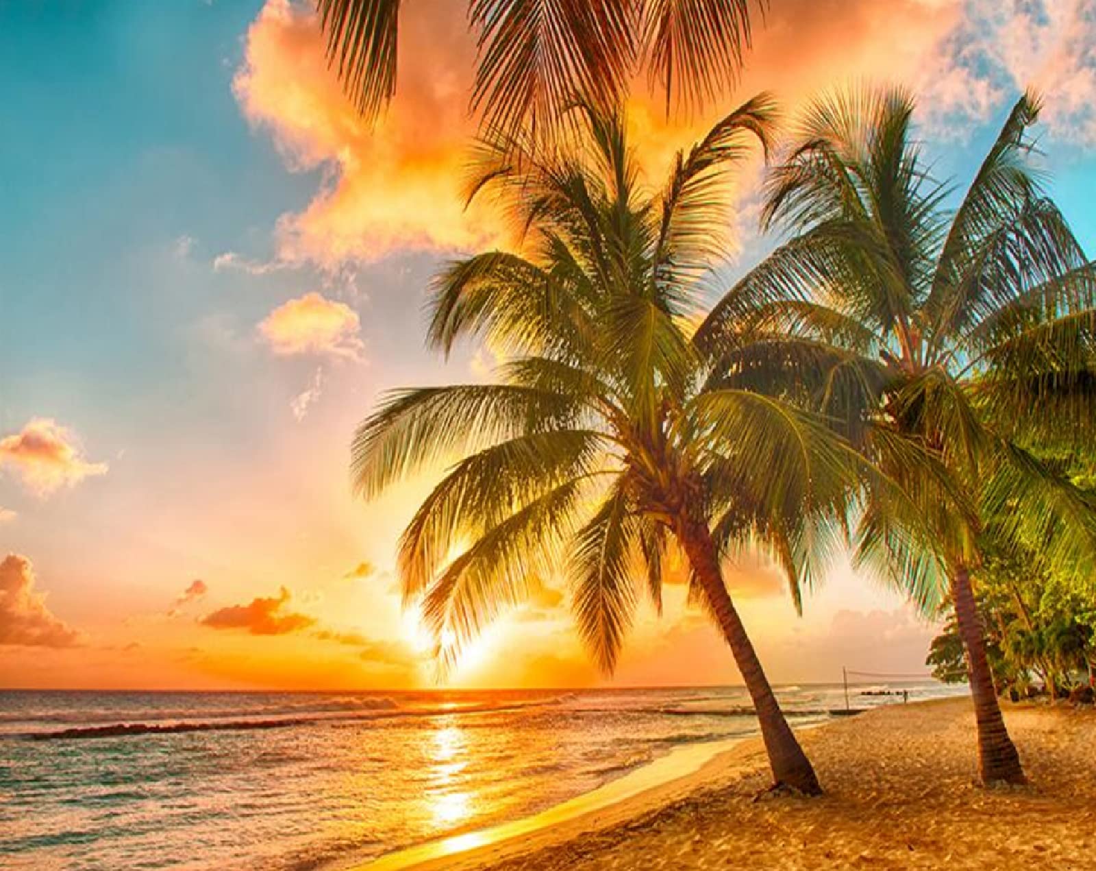 1600x1271 Decorative Wallpaper Papel De Parede 3D Wallpaper Coconut Tree Sea Beach Sunrise Sunset Background Wall 150 * 105Cm : Amazon.co.uk: DIY & Tools