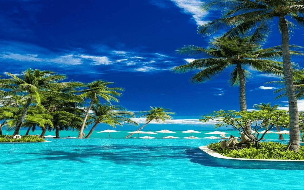 1280x800 Sea and coconut tree wallpaper Web Store