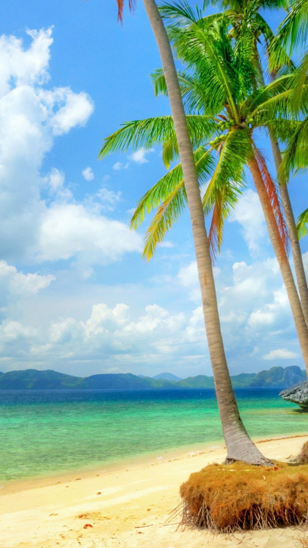 1080x1920 Coconut Trees On Beach Sand With Landscape Of Green Covered Mountain In The Middle Of The Sea 4K HD Beach Wallpaper