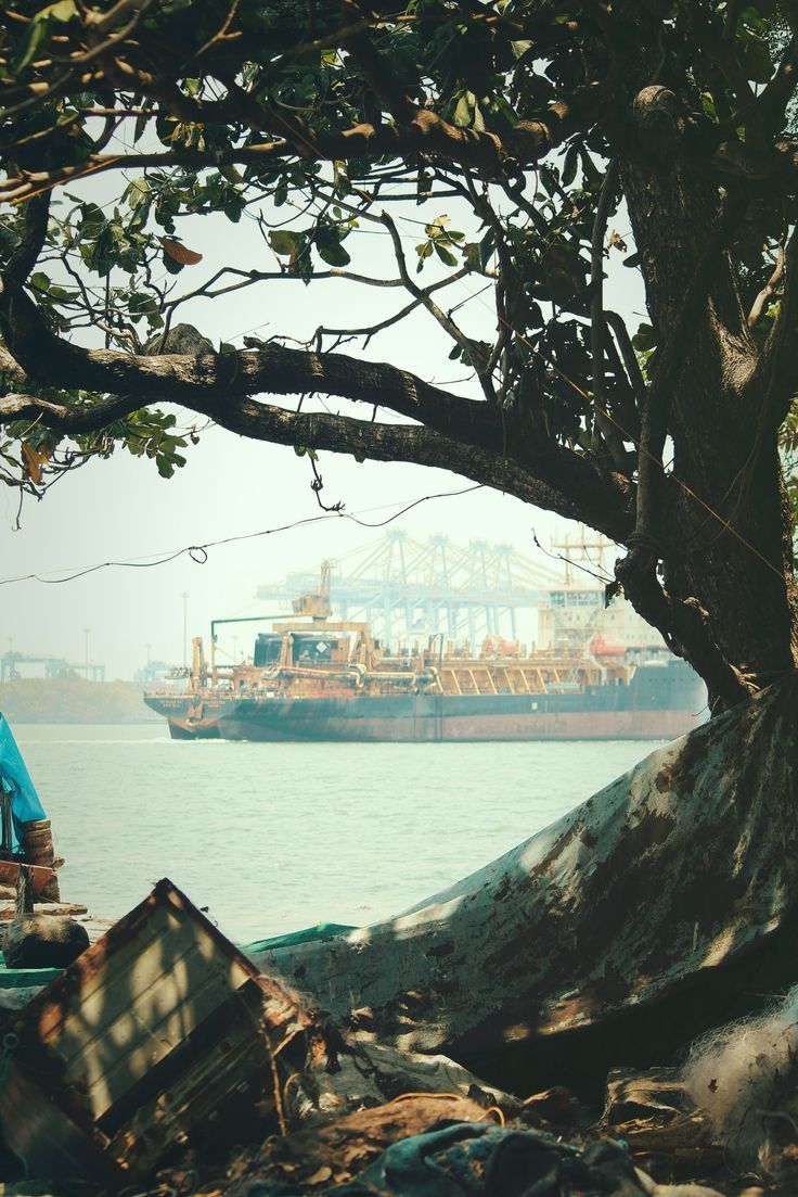 736x1103 FORT KOCHI !