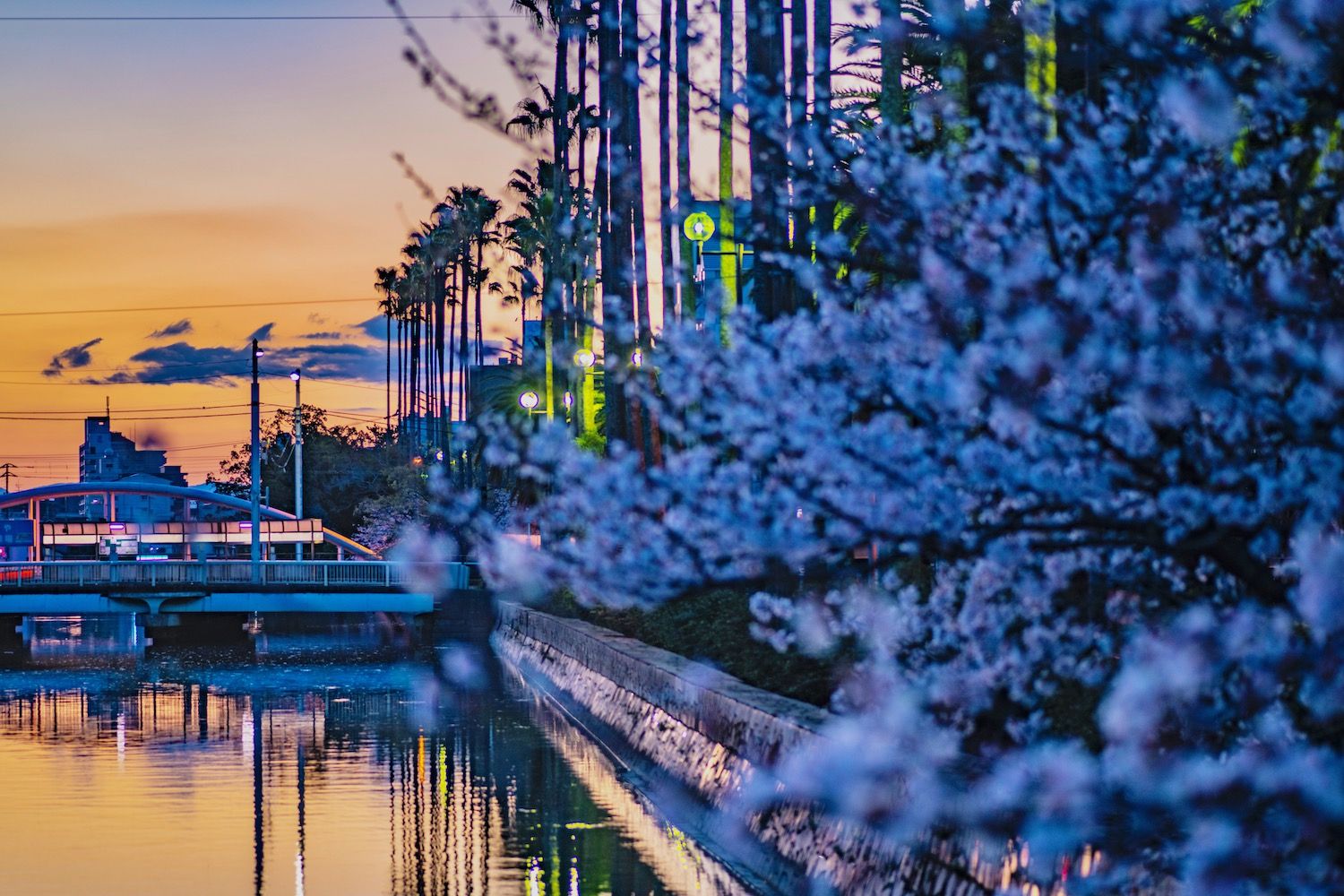 1500x1000 Plan Your Kochi, Japan Itinerary Today