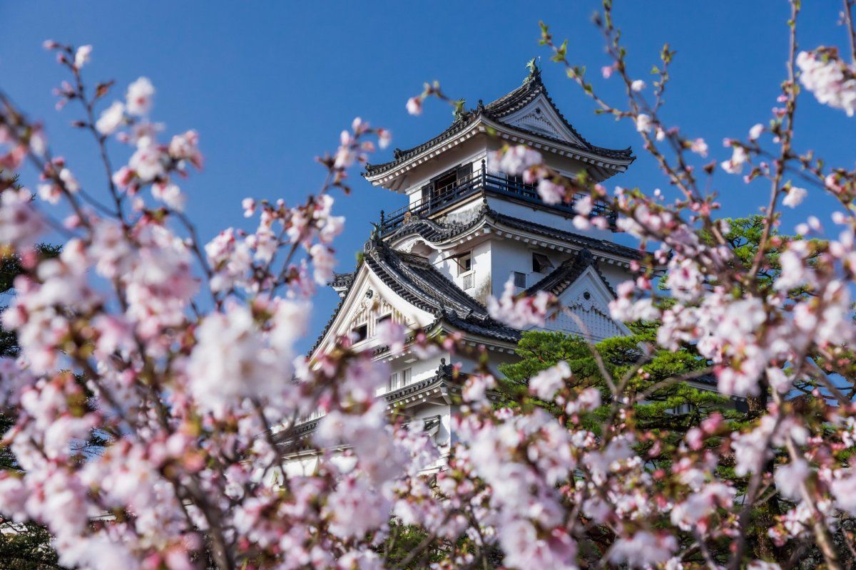 1200x800 Kochi Castle｜What to See & Do｜VISIT KOCHI JAPAN