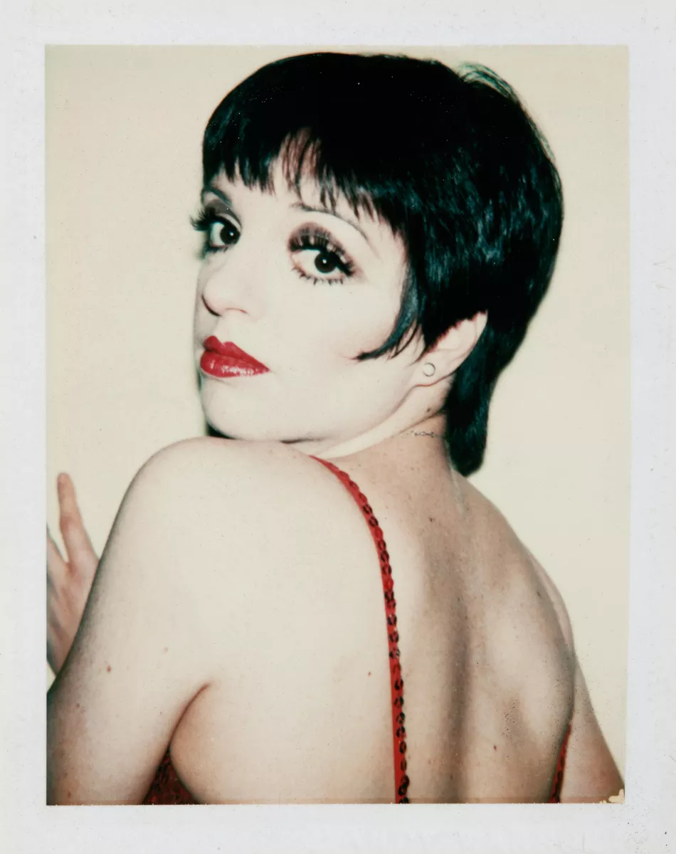 950x1200 Liza Minnelli