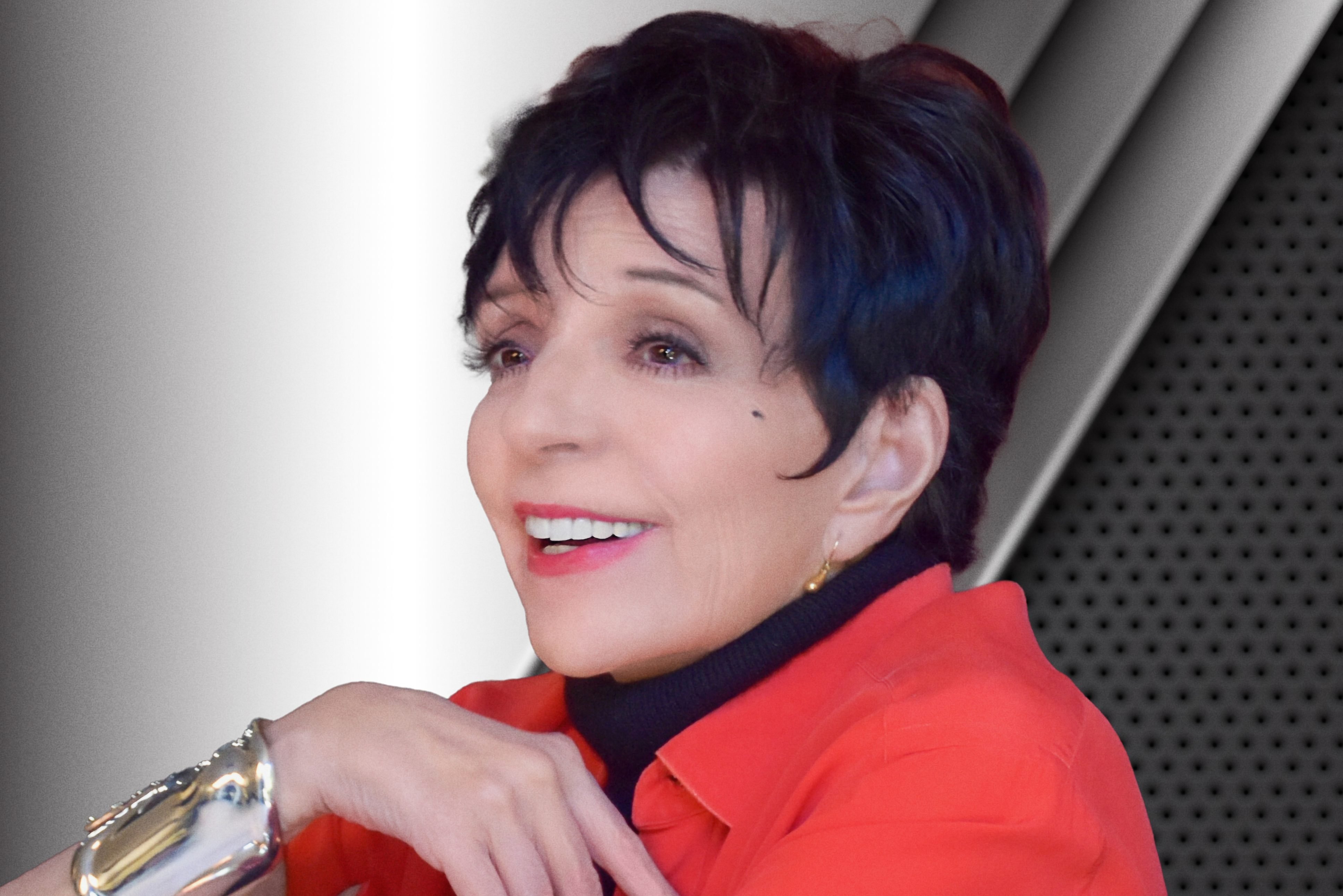 3871x2583 Liza Minelli's Memoir to be Adapted as Warner Bros. TV Series