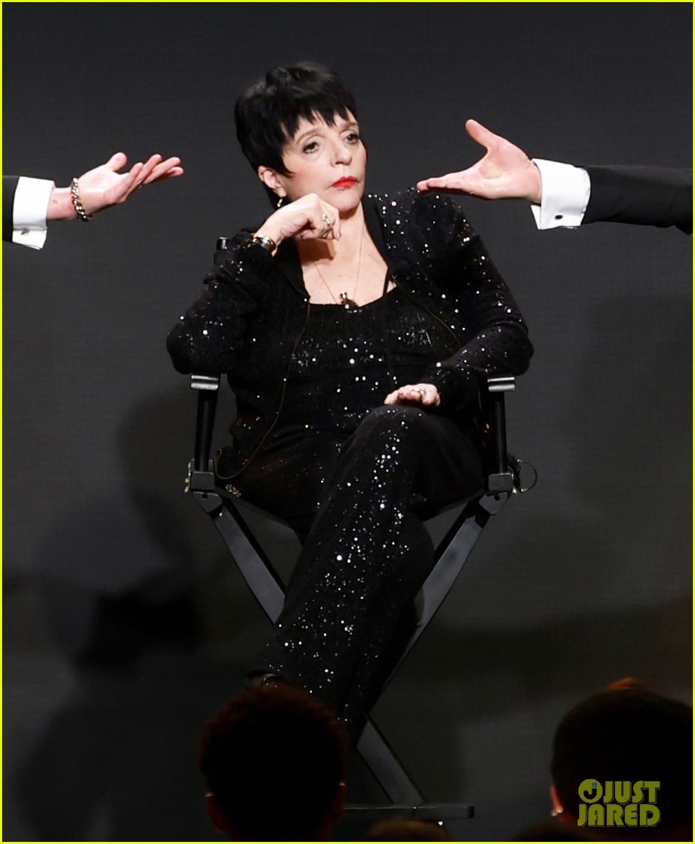 1007x1222 Liza Minnelli Gets Her Director's Chair at GLAAD Media Awards After Slamming Oscars for Putting Her In a Wheelchair: Photo 5291701. GLAAD Media Awards, Liza Minnelli Photo. Just Jared: Entertainment News