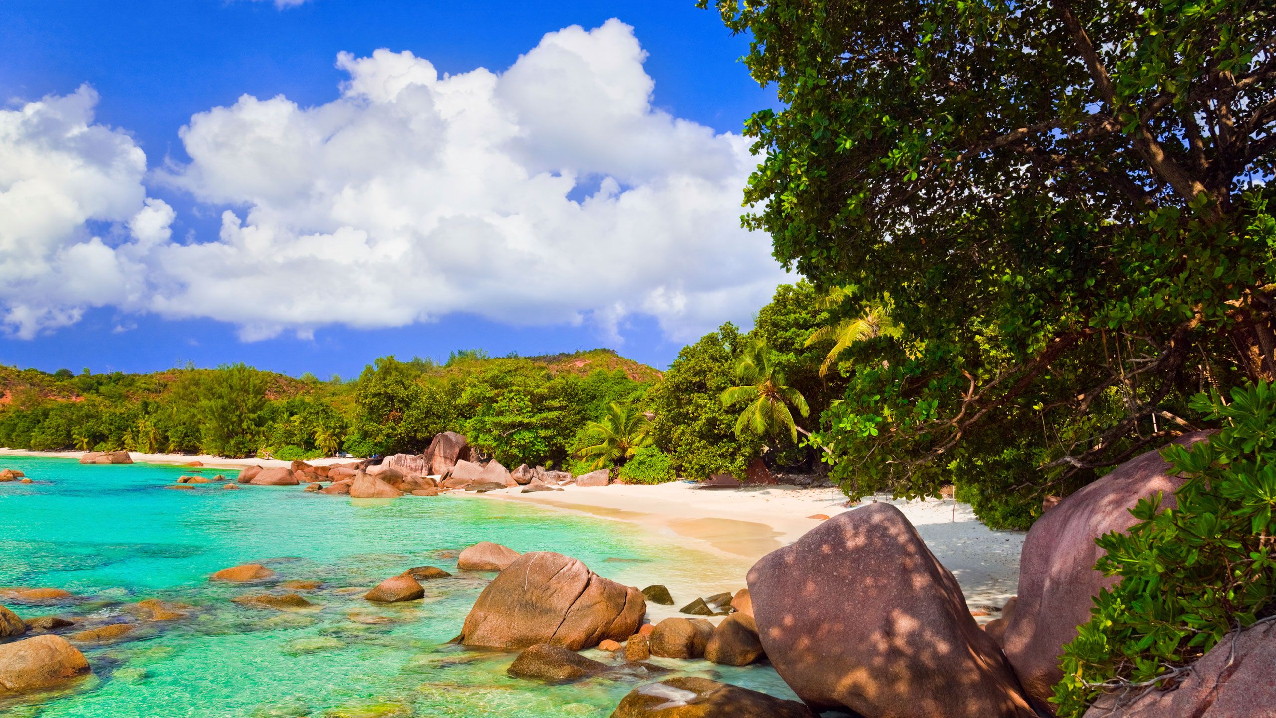 2560x1440 Paradise Found: Indian Ocean Escapes