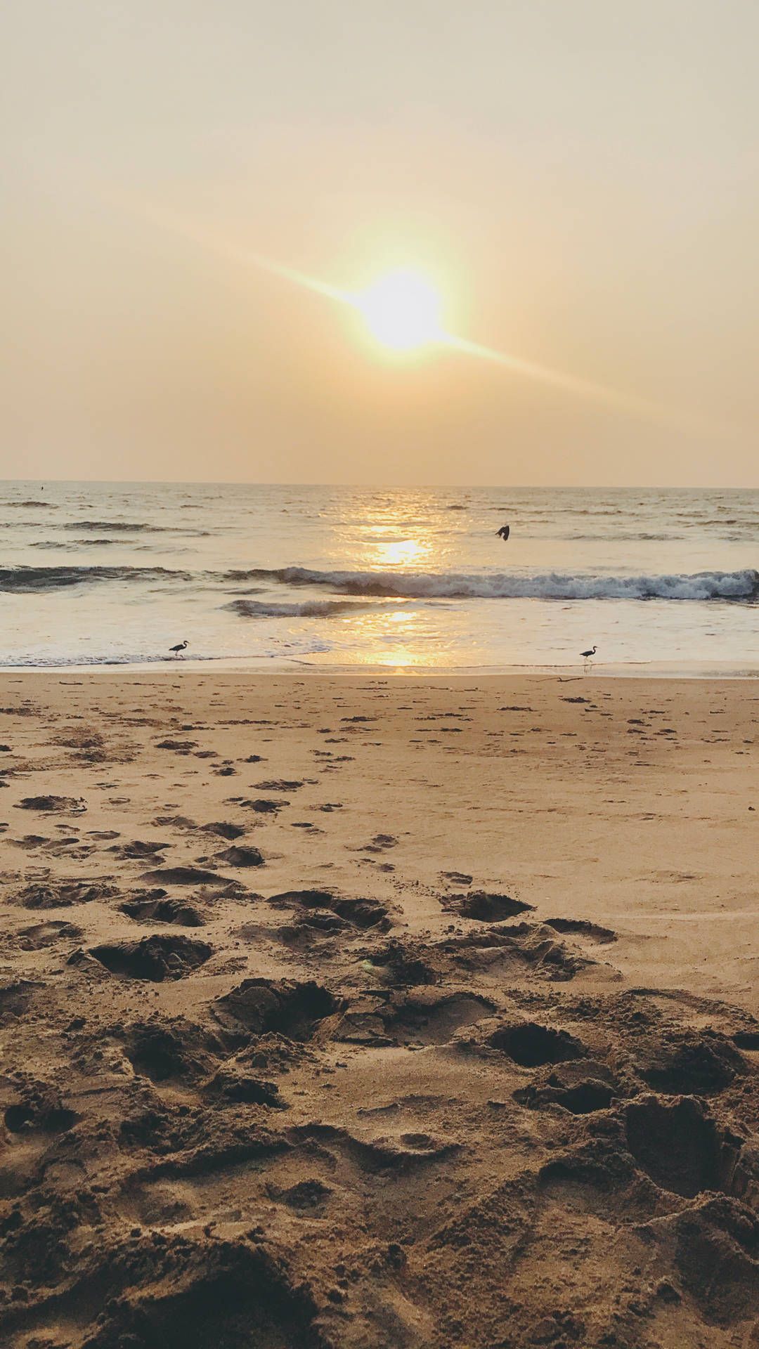 1080x1920 Download Mesmerizing Sunrise in Goa, India Wallpaper