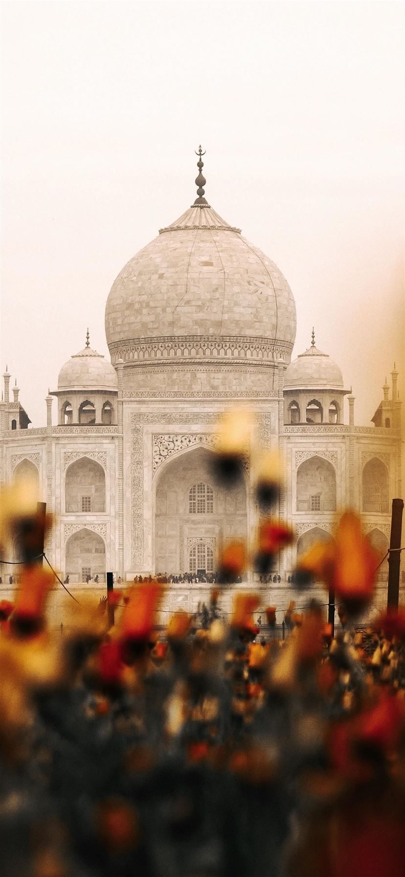 828x1792 Best Agra iPhone 11 HD Wallpaper