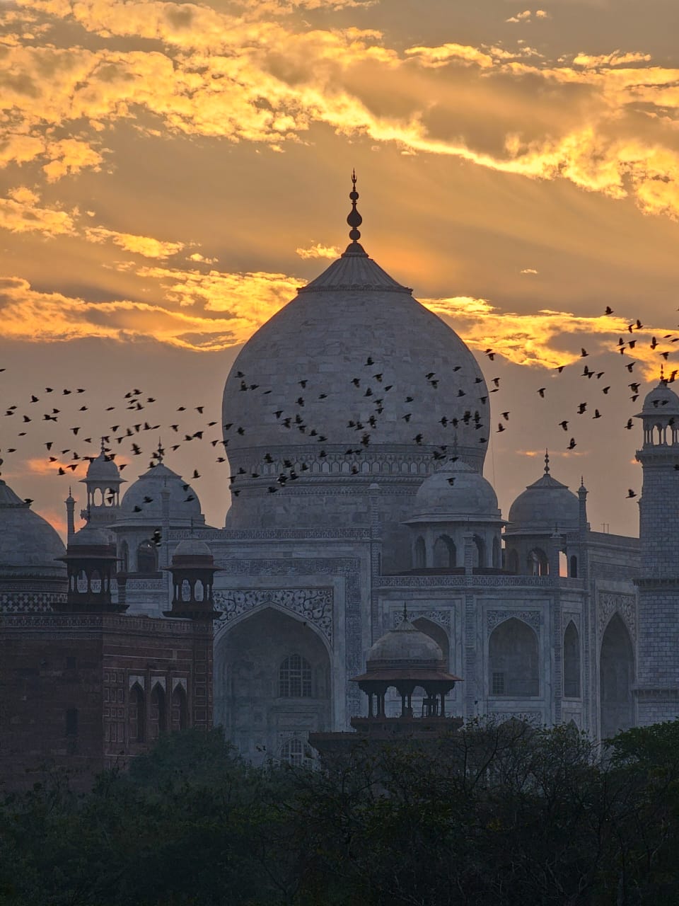 960x1280 One Day in Agra: Perfect Itinerary with a Local Guide Mahal Tour Guide Family Group