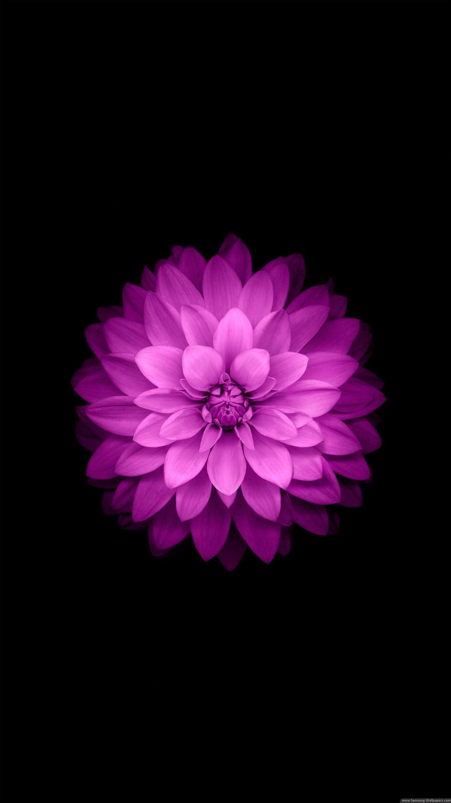 1440x2560 Samsung Galaxy S6 Edge Plus Wallpaper iPhone Wallpaper HD