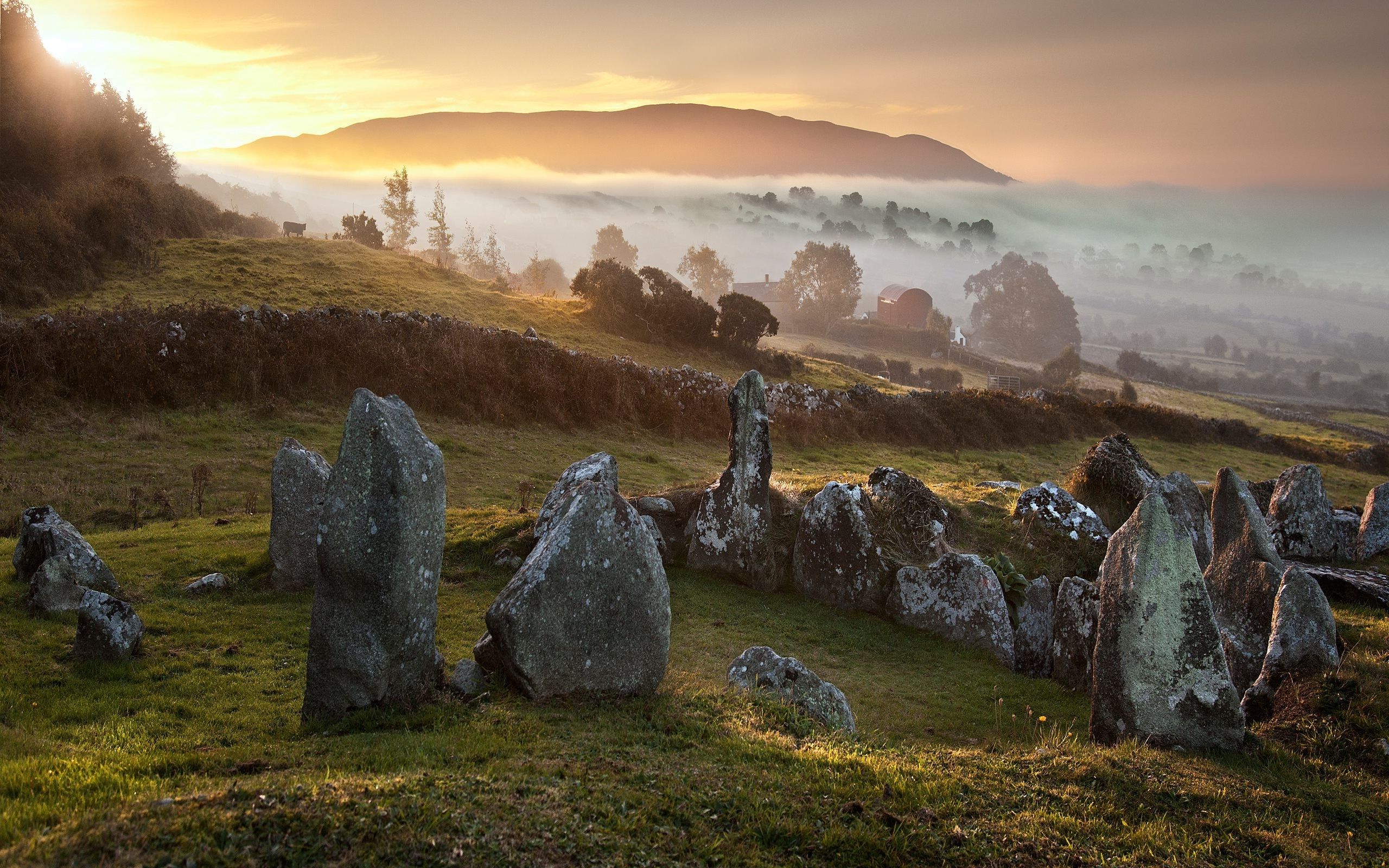 2560x1600 nature, Landscape, Trees, Forest, England, UK, Hill, Sky, Clouds, Ancient, Rock, Stones, Field, Grass, Mist, Morning, Sun, Sunlight, House, Farm, Fence Wallpaper HD / Desktop and Mobile Background