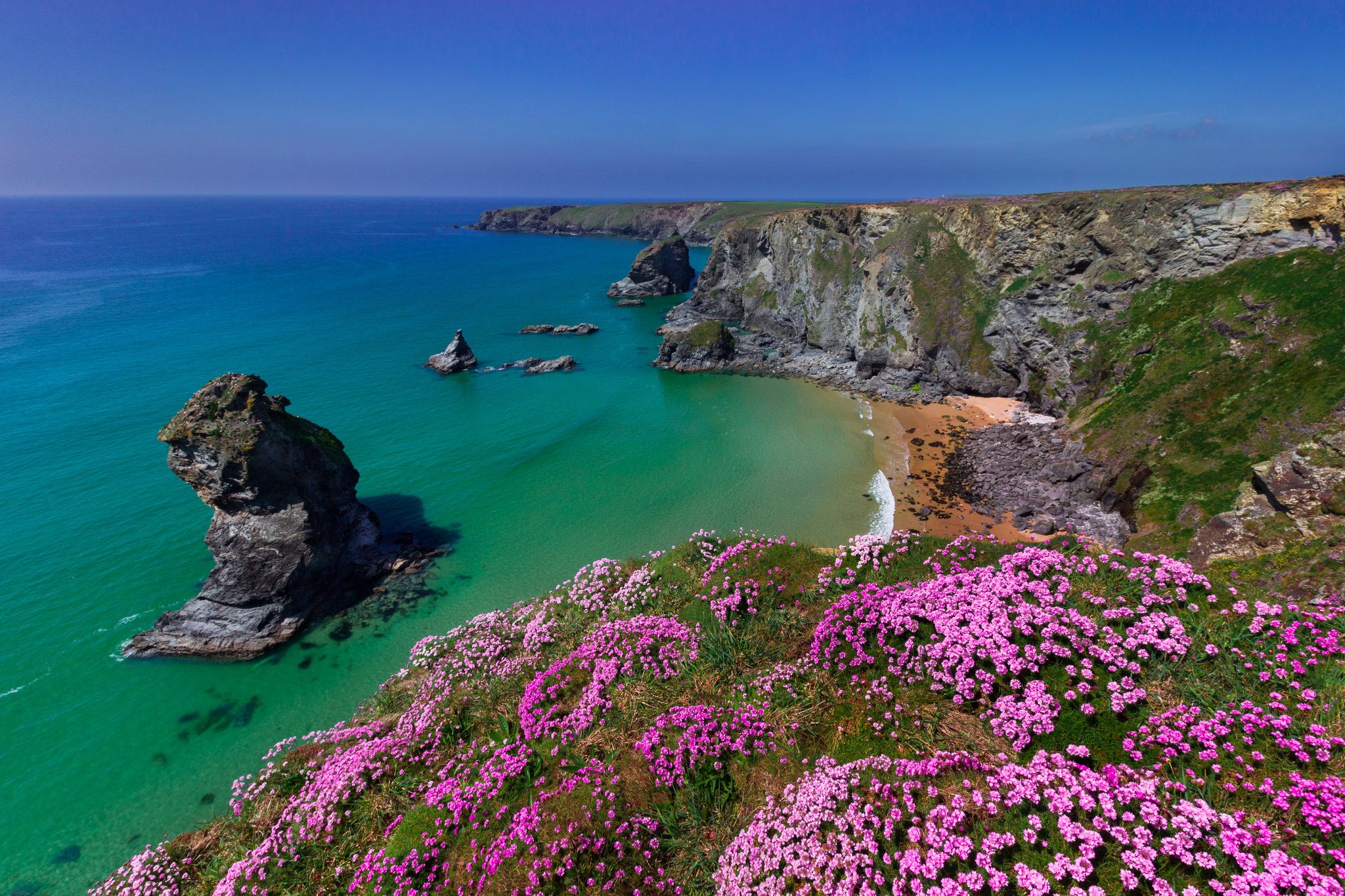 2048x1365 Wallpaper sea, flowers, rocks, coast, England, England, Cornwall, Cornwall for mobile and desktop, section пейзажи, resolution 2048x1365