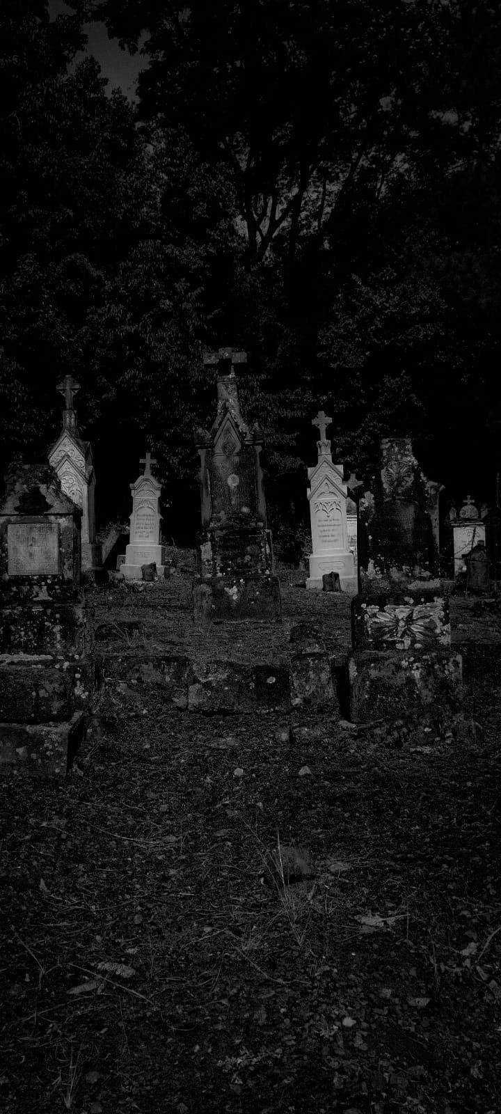 720x1600 Graveyard wallpaper