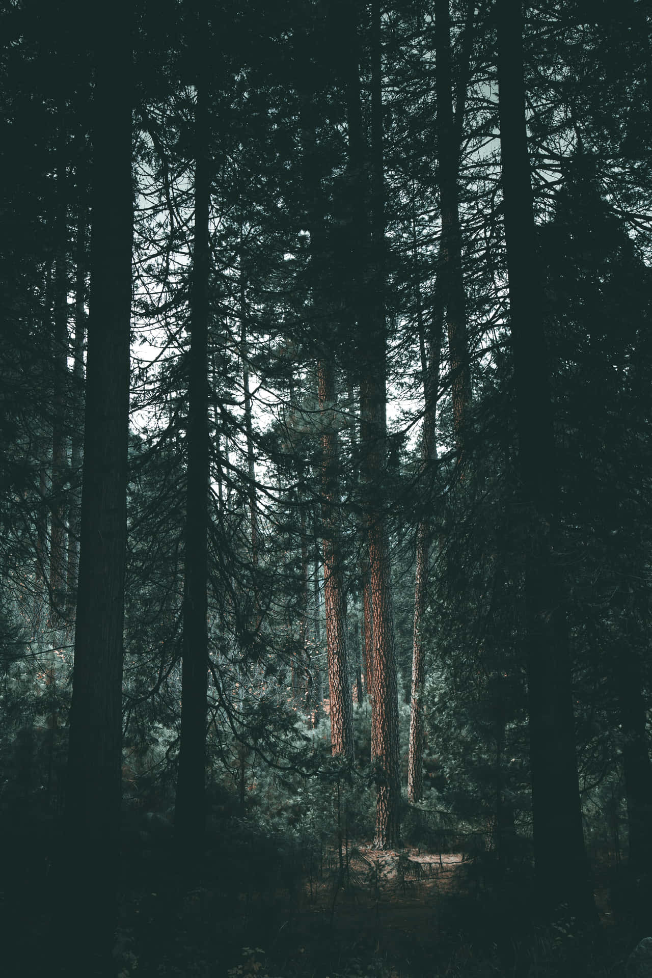 1280x1920 Moody iPhone Wallpaper