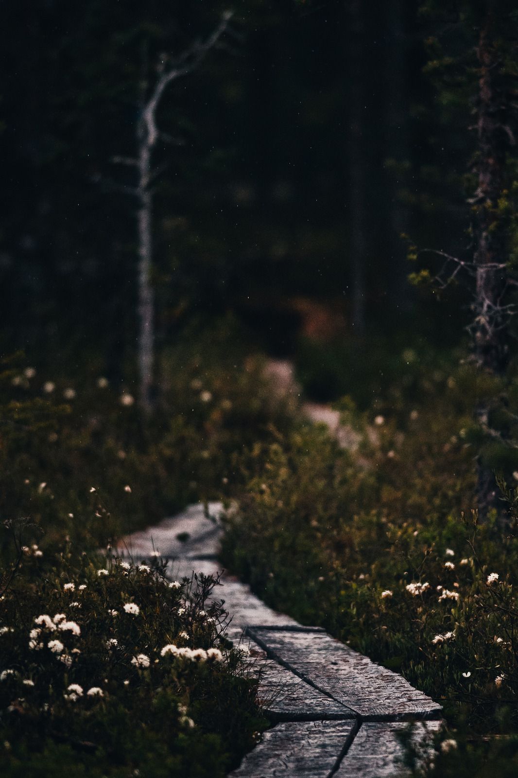 1066x1600 