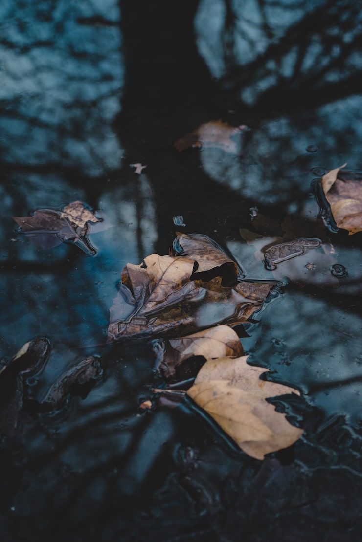 740x1109 Moody aesthetic Image