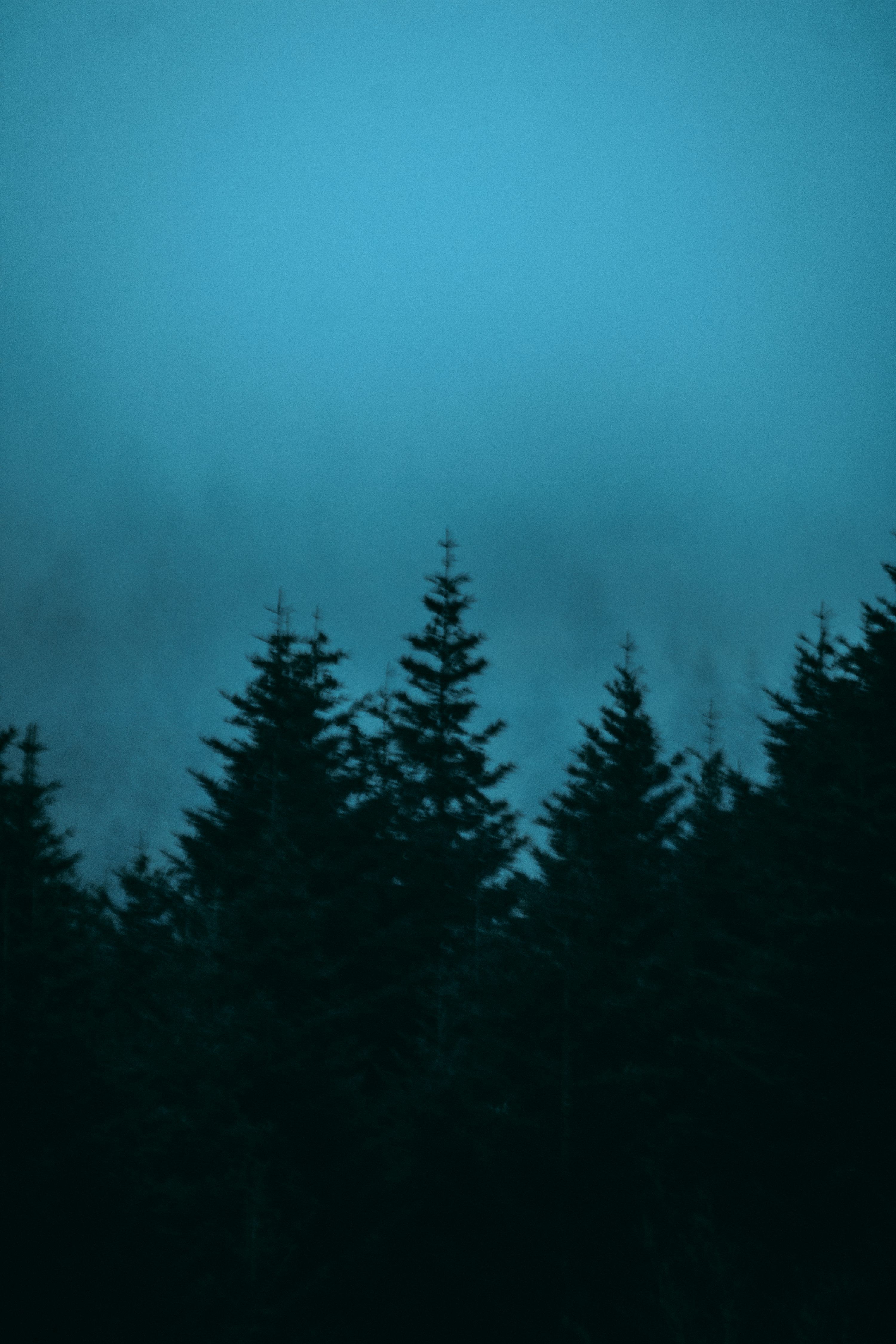 3000x4500 Moody Background Picture. Download Free Image