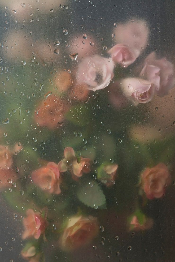 740x1109 Moody aesthetic Image