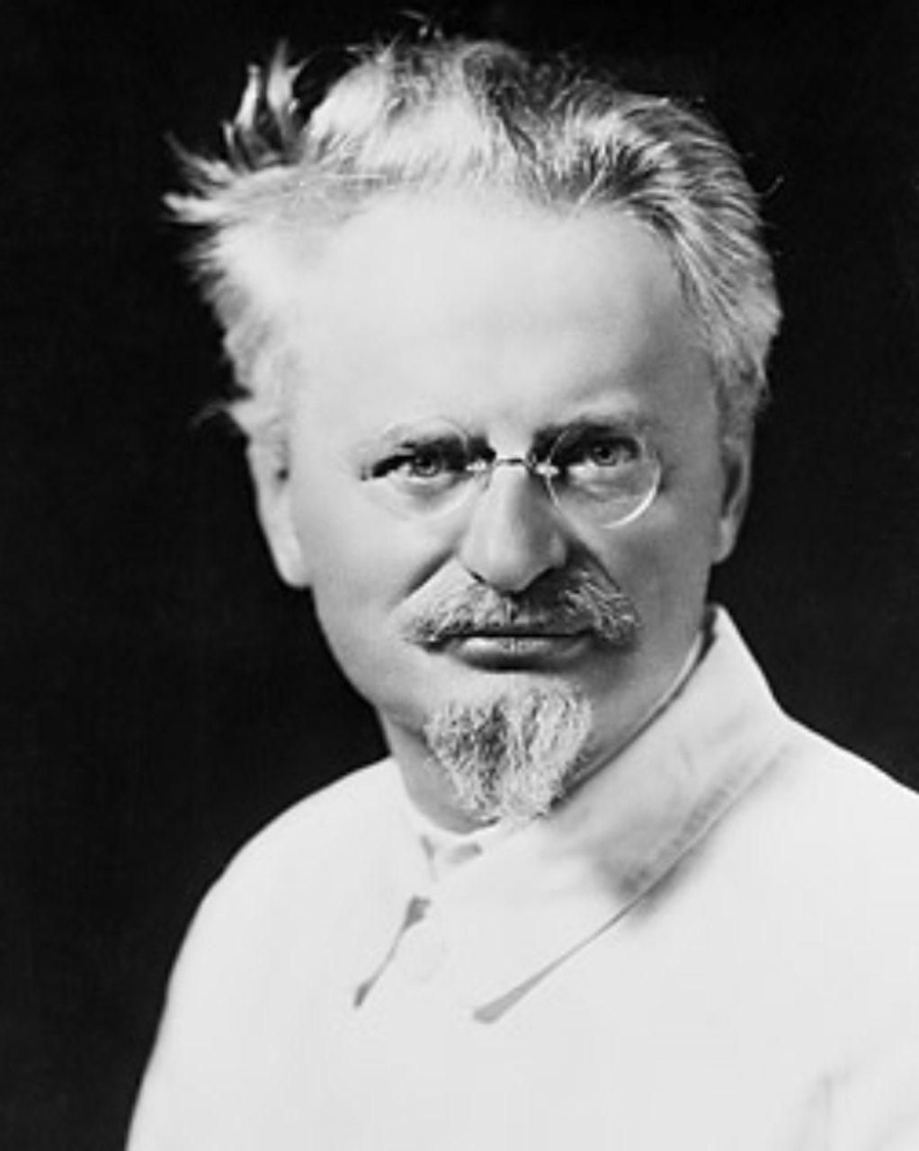 1022x1280 Trotsky's Last Year Socialist Web Site