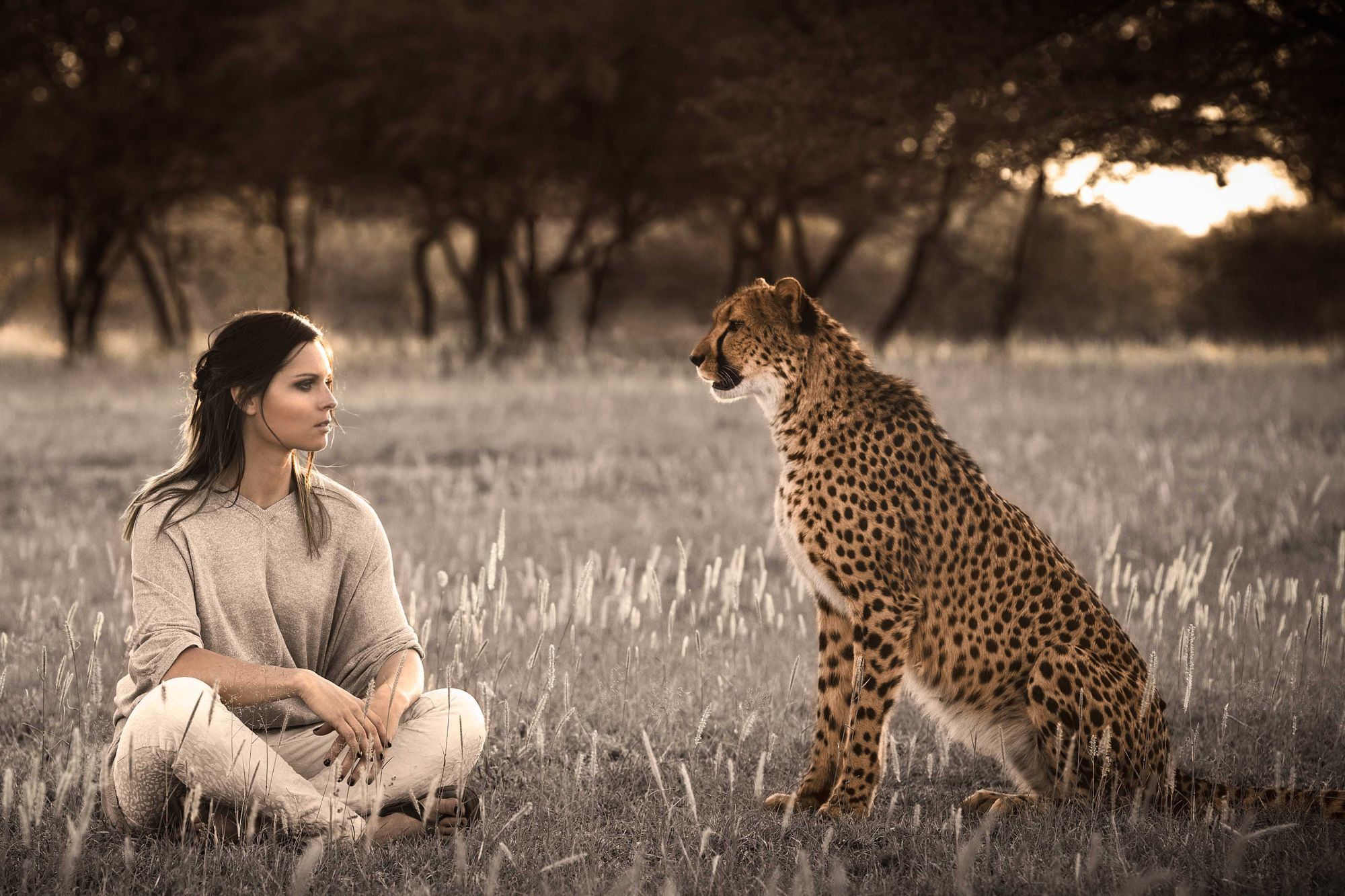 2000x1333 Wallpaper look, girl, Cheetah, Anna Fenninger for mobile and desktop, section ситуации, resolution 2000x1333
