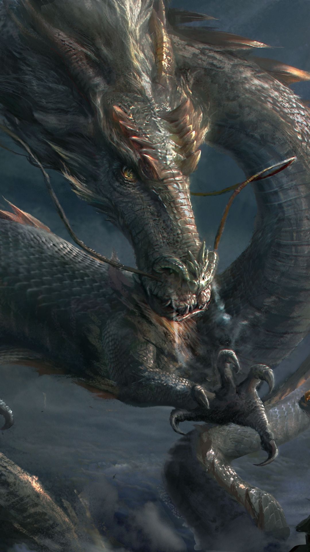 1080x1920 Wallpaper Dragon, Chinese Dragon, Art, Cover Art, Vietnamese Dragon, Background Free Image