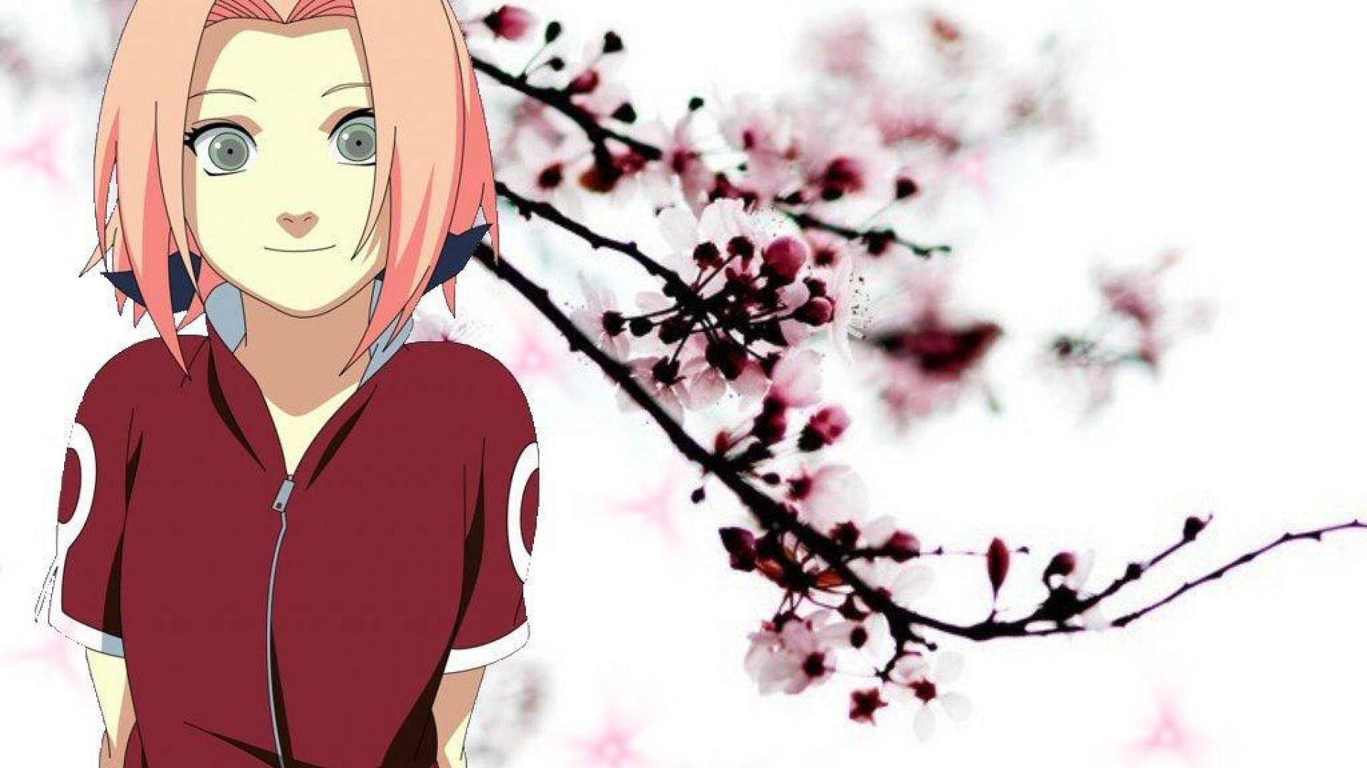 1920x1080 Sakura Haruno Wallpaper