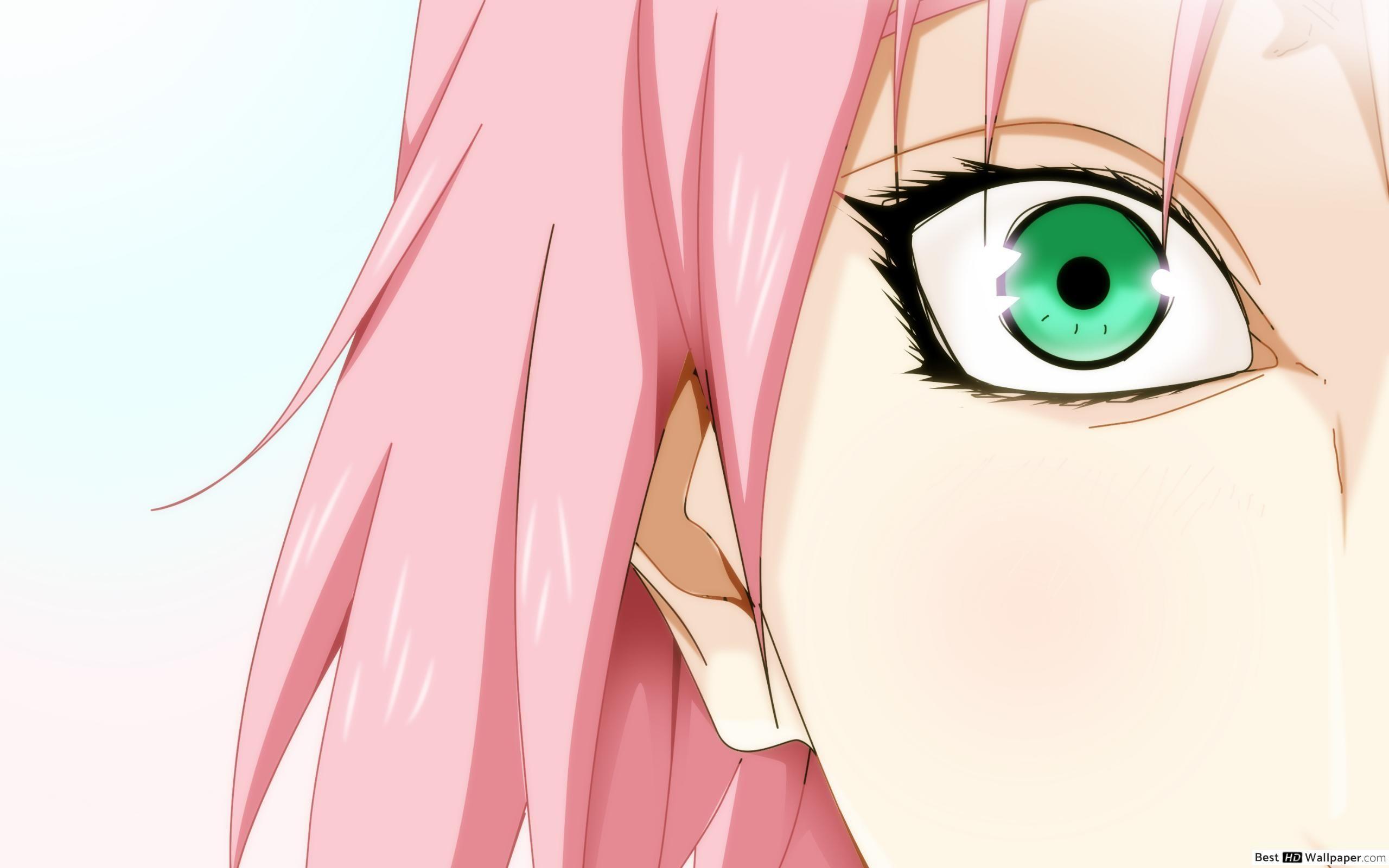 2560x1600 Naruto Shippuden Haruno HD wallpaper download